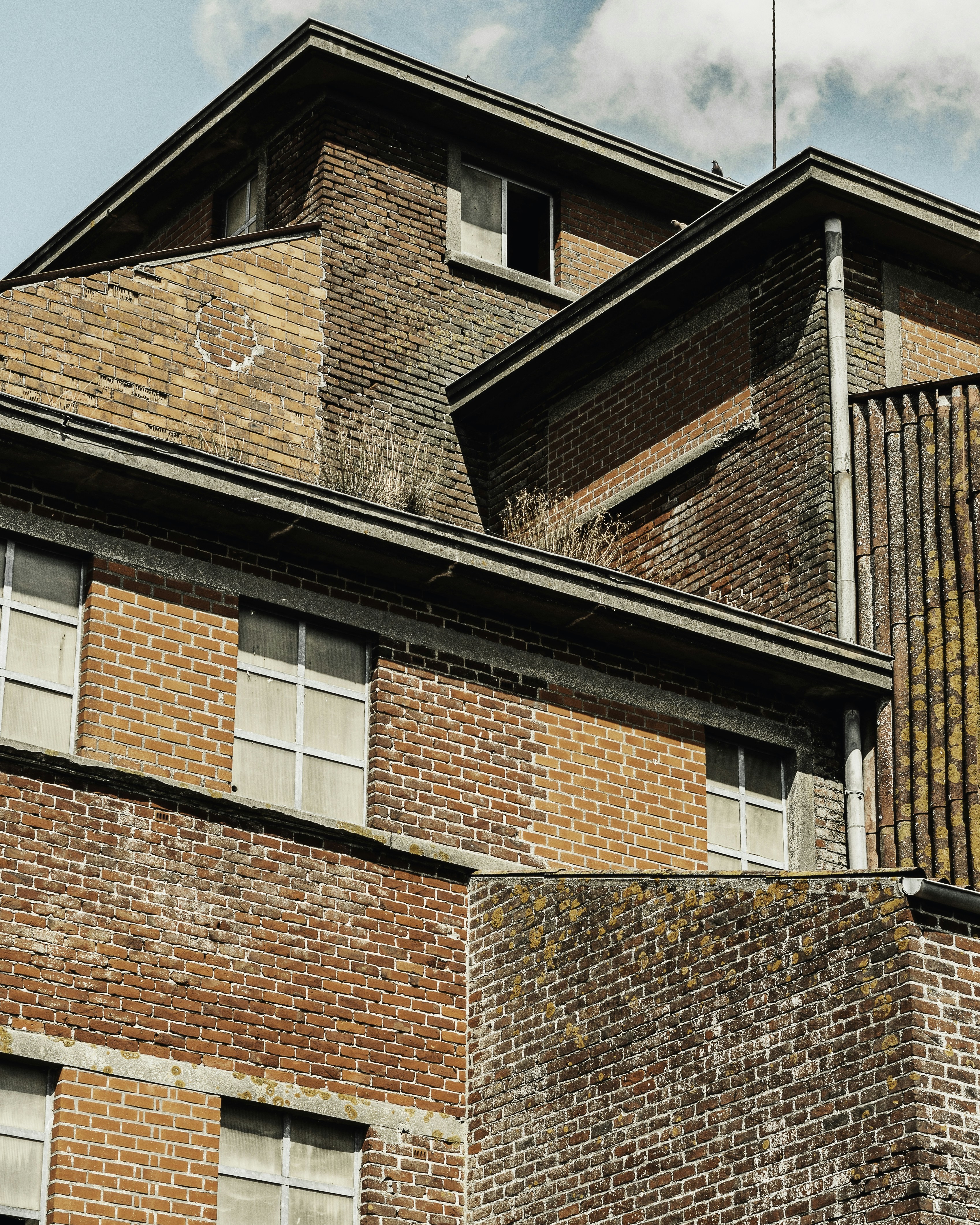 Photo by milandegraeve