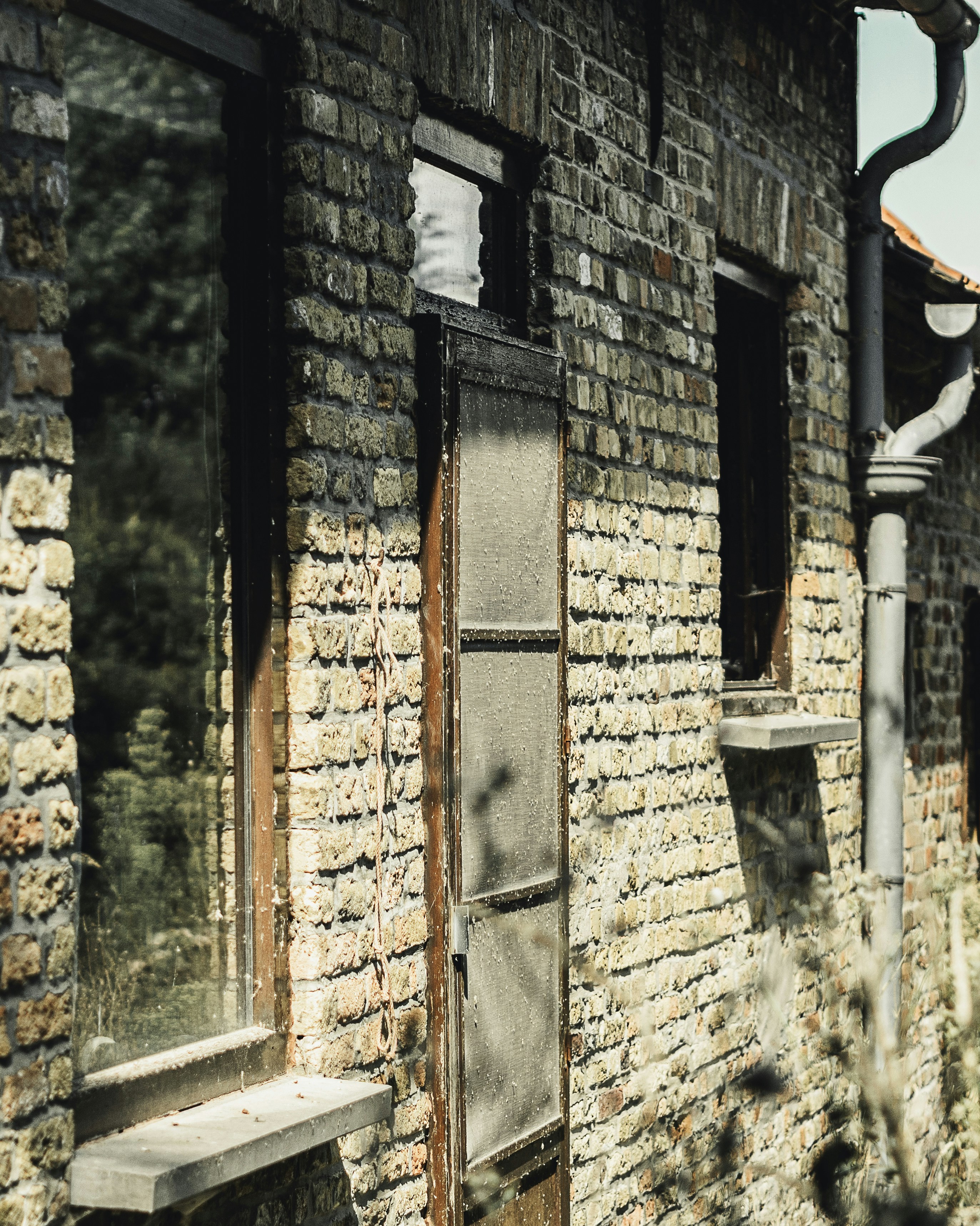 Photo by milandegraeve