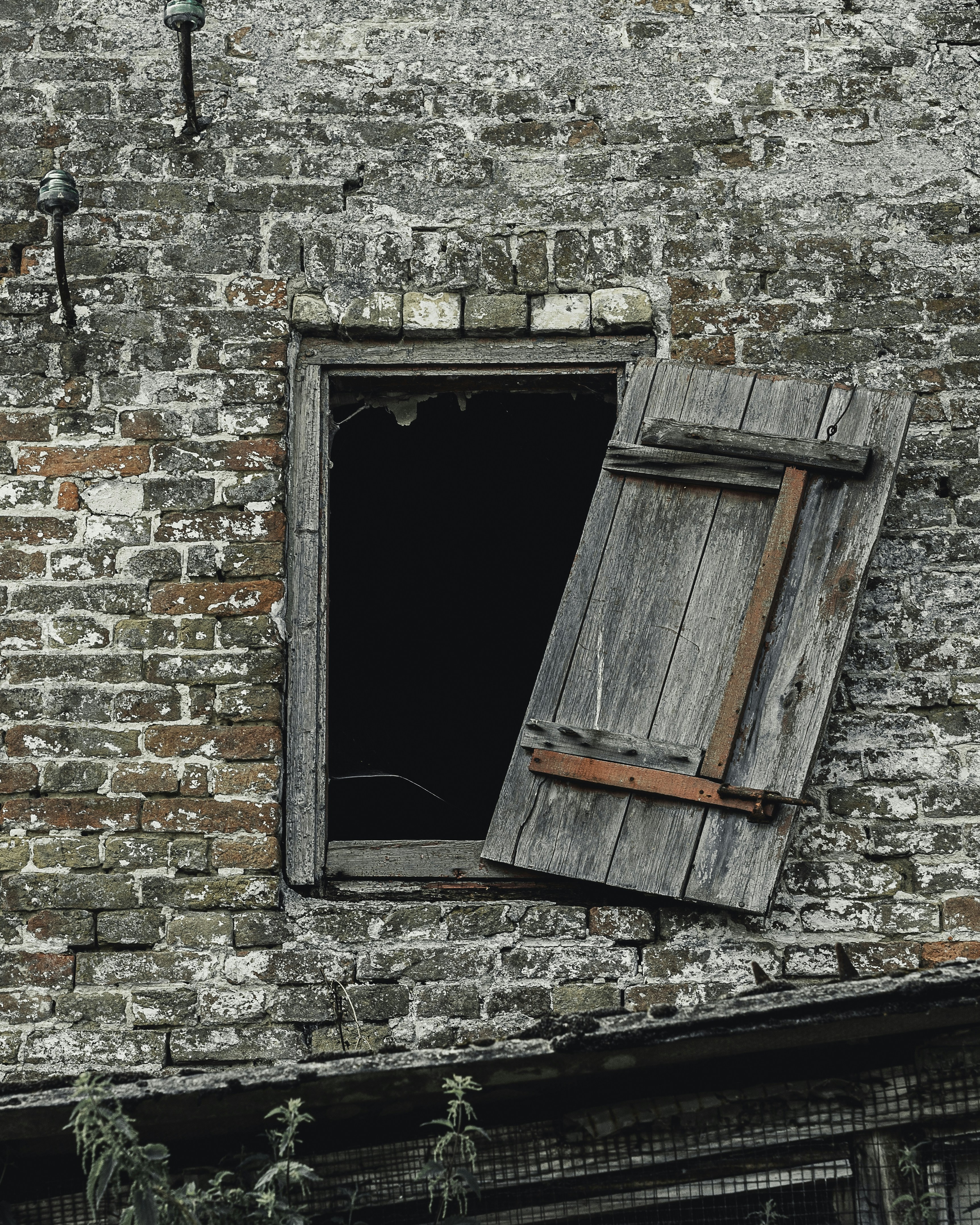 Photo by milandegraeve