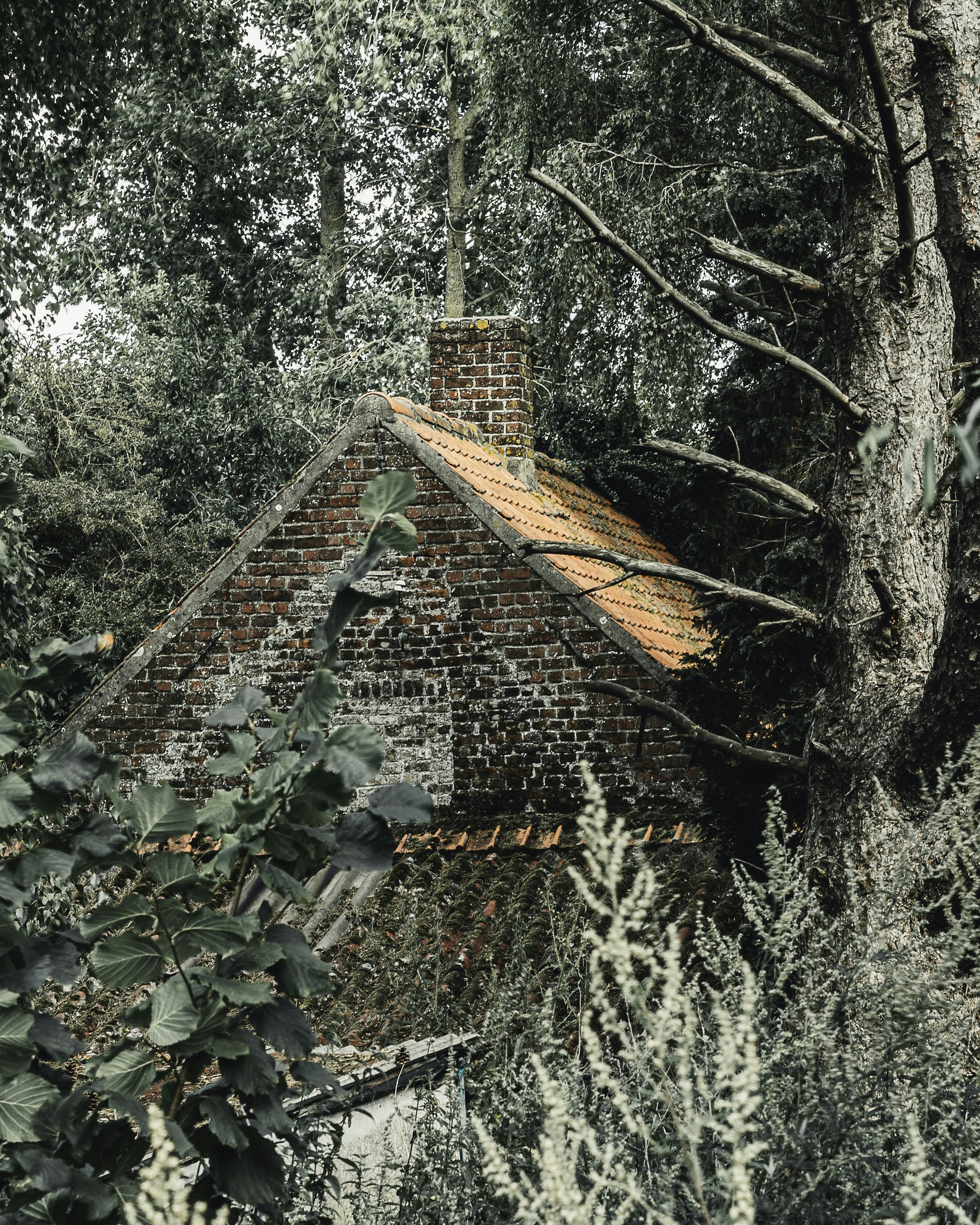 Photo by milandegraeve