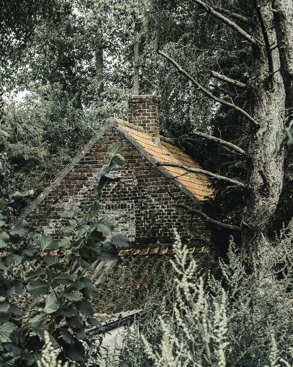 brown bricked house with chimney surrounded by trees