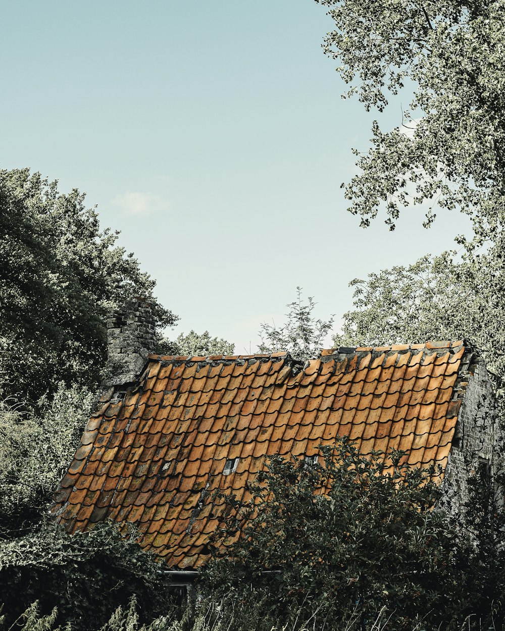 brown roof tiles