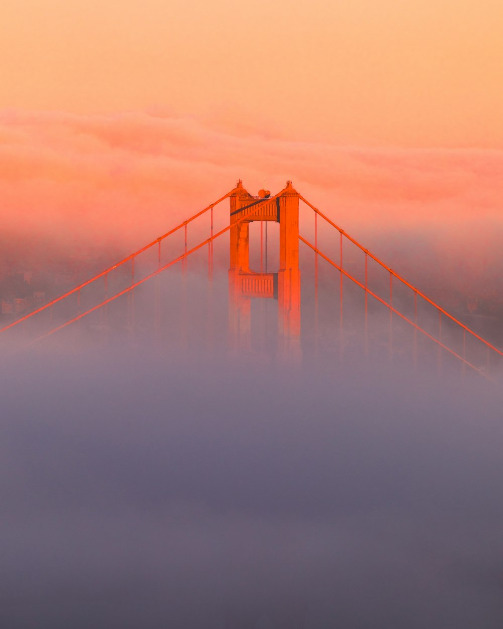 brown bridge