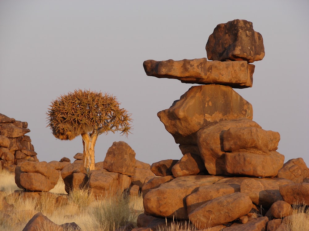 brown balance stone