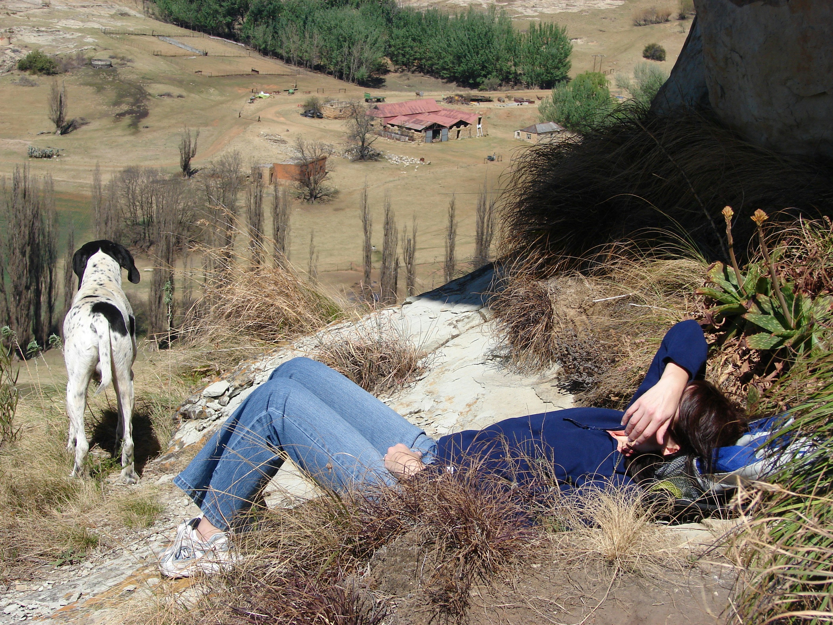 Relaxing after a climb up the hill, farm in Free State, South Africa.