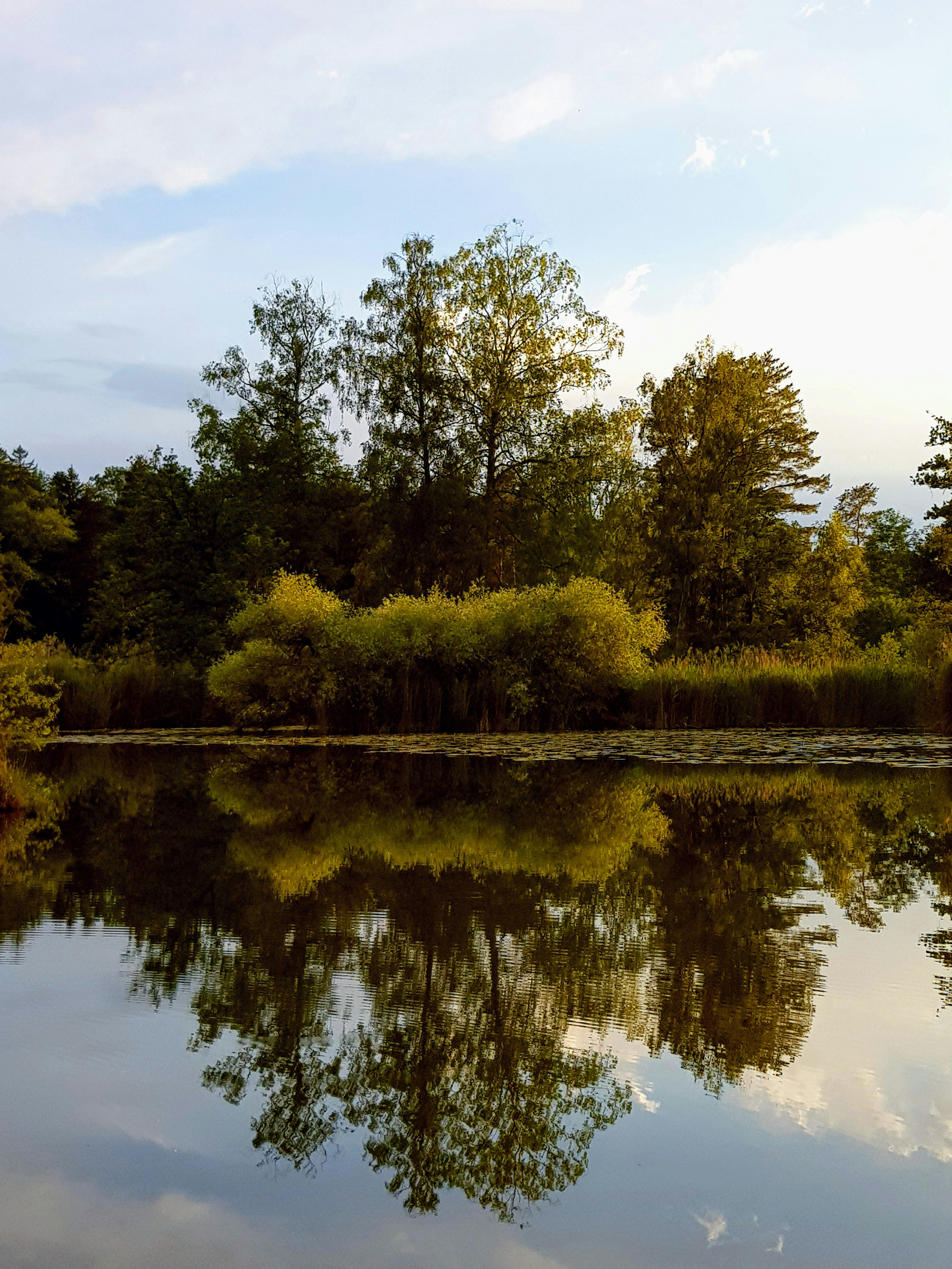 Photo by blumentopf70