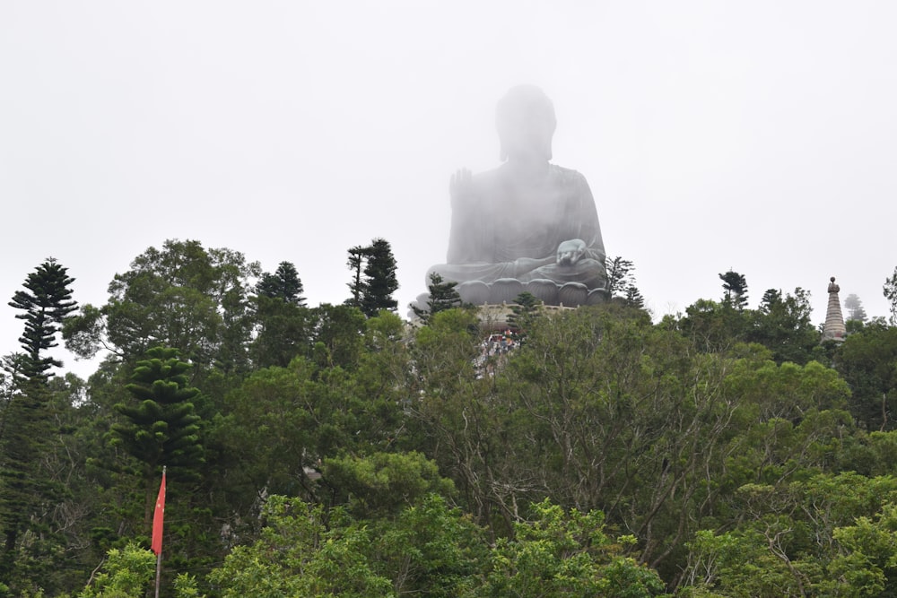 Buddha statue near trees