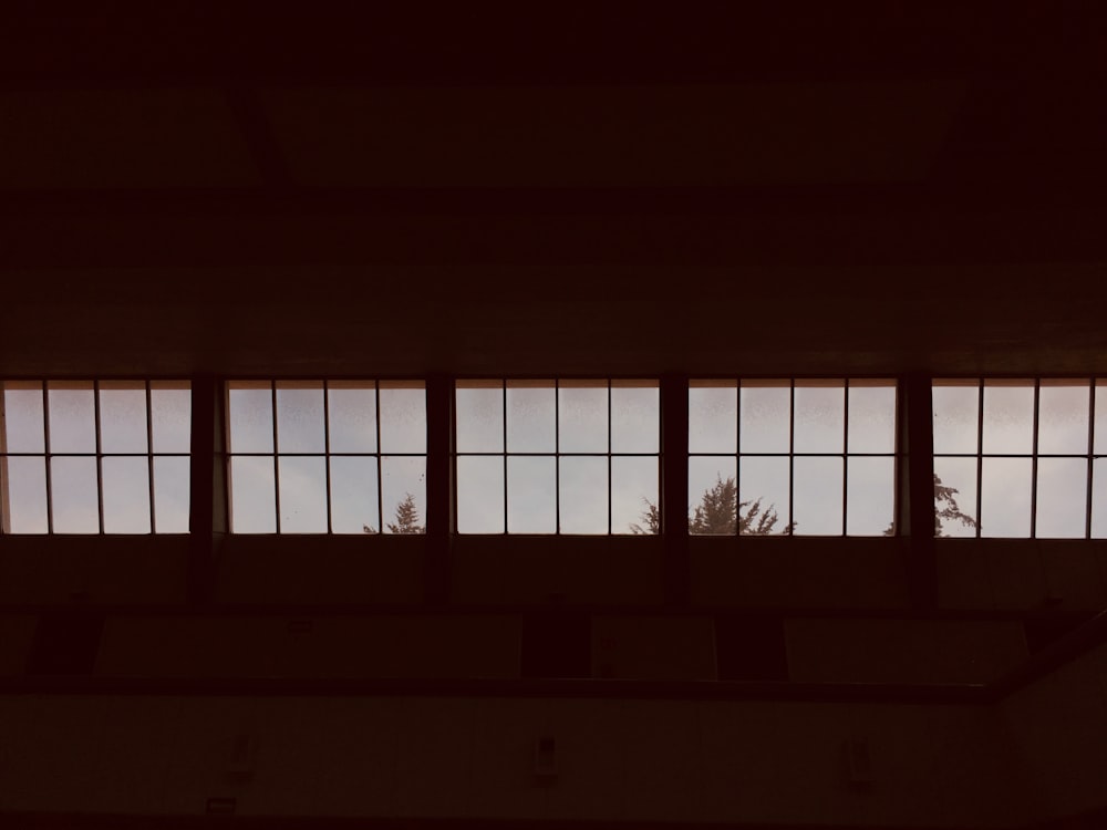 a view of a tree through a window