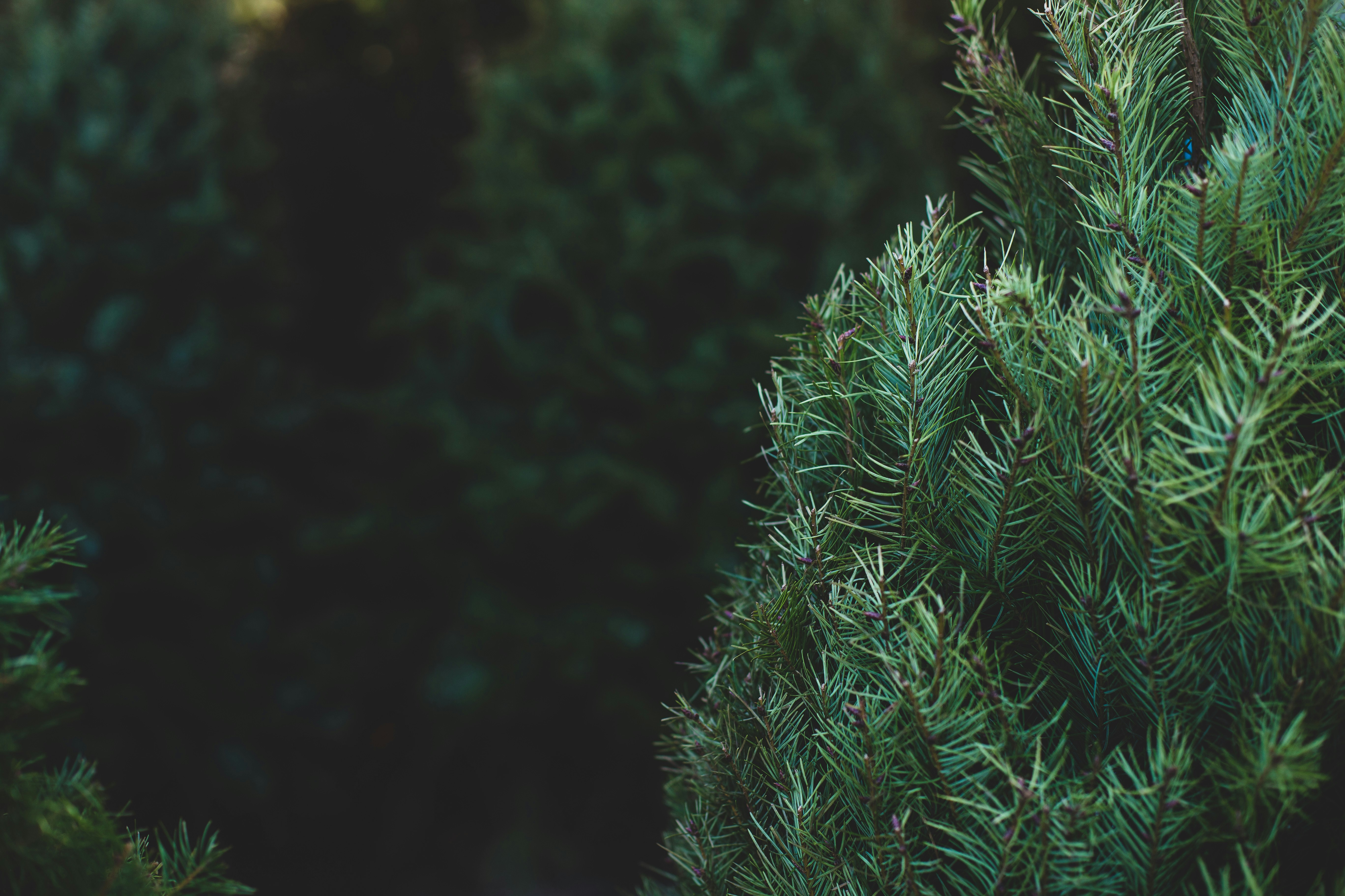 Photo by ndg_visuals