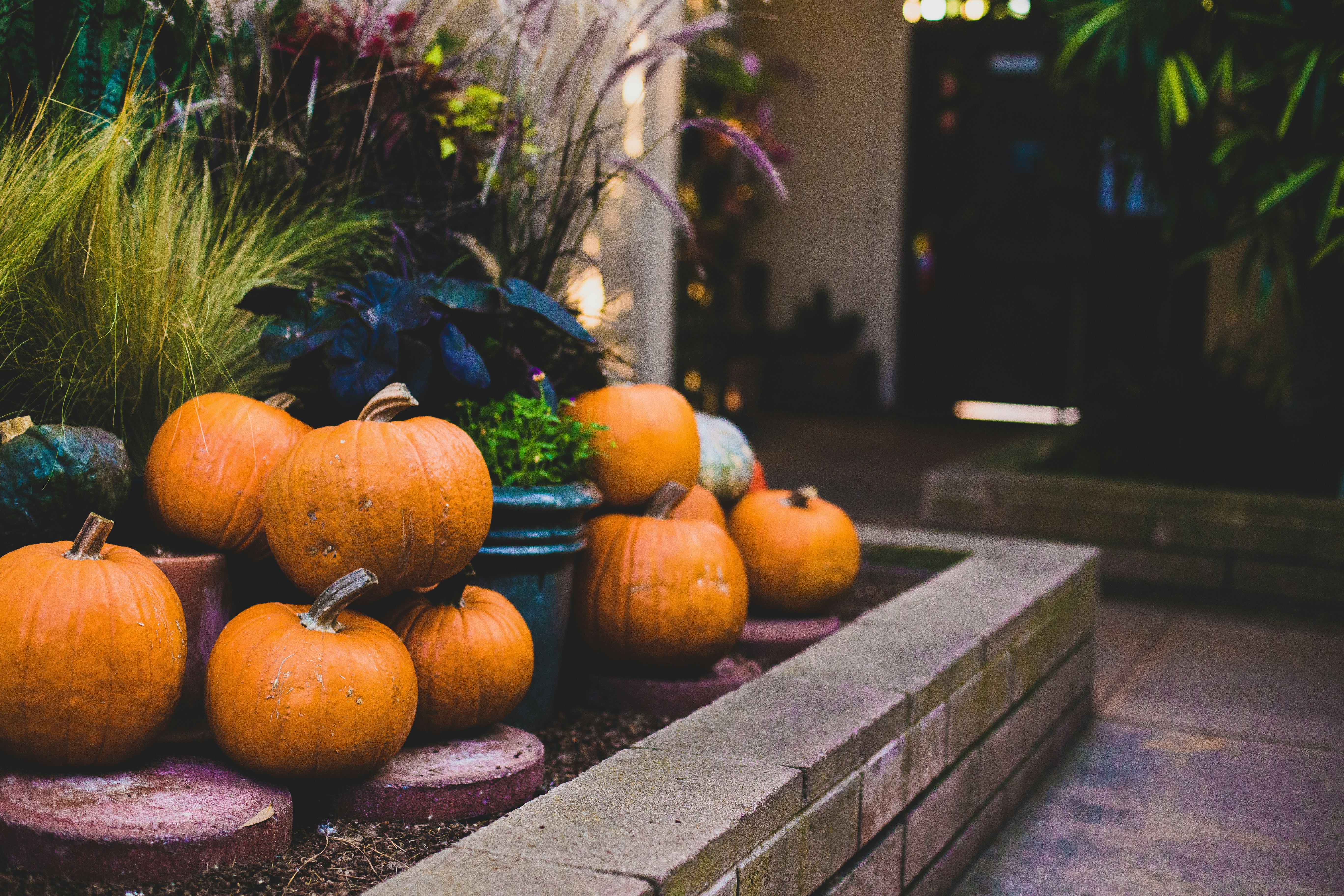 Photo by ndg_visuals