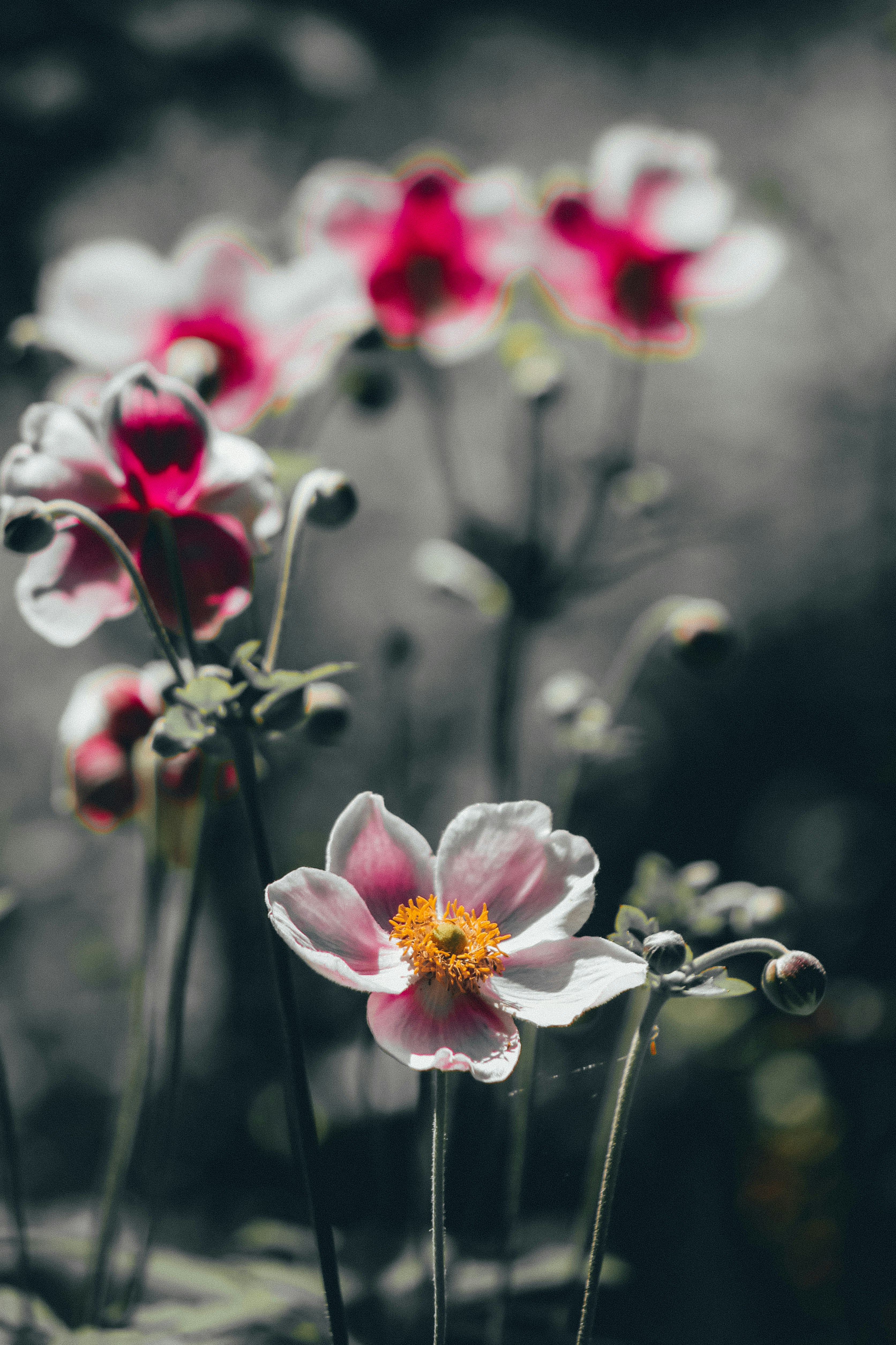 Photo by geoffreykang_21