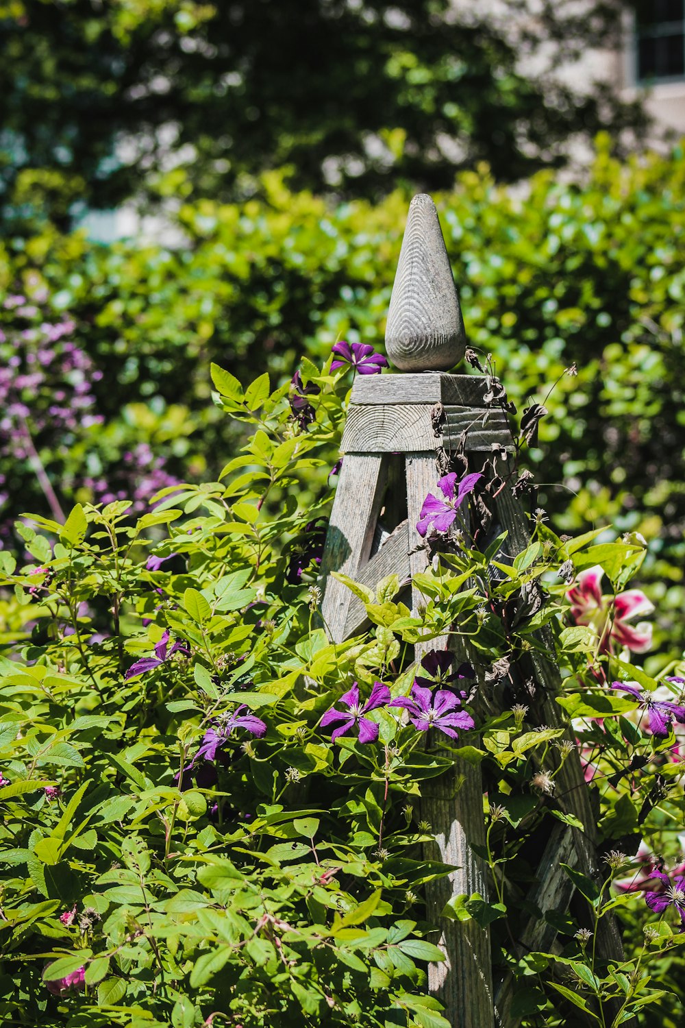 wooden structure surrounded by flowering plants