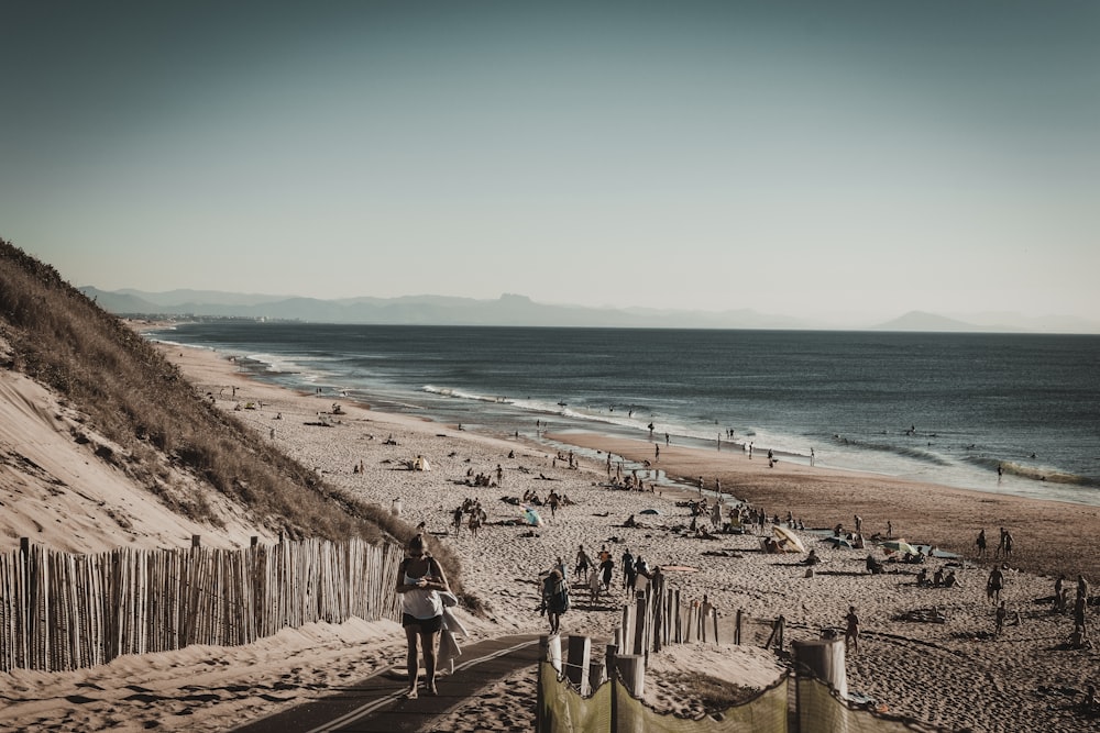 people walking and sitting on seashore during daytime