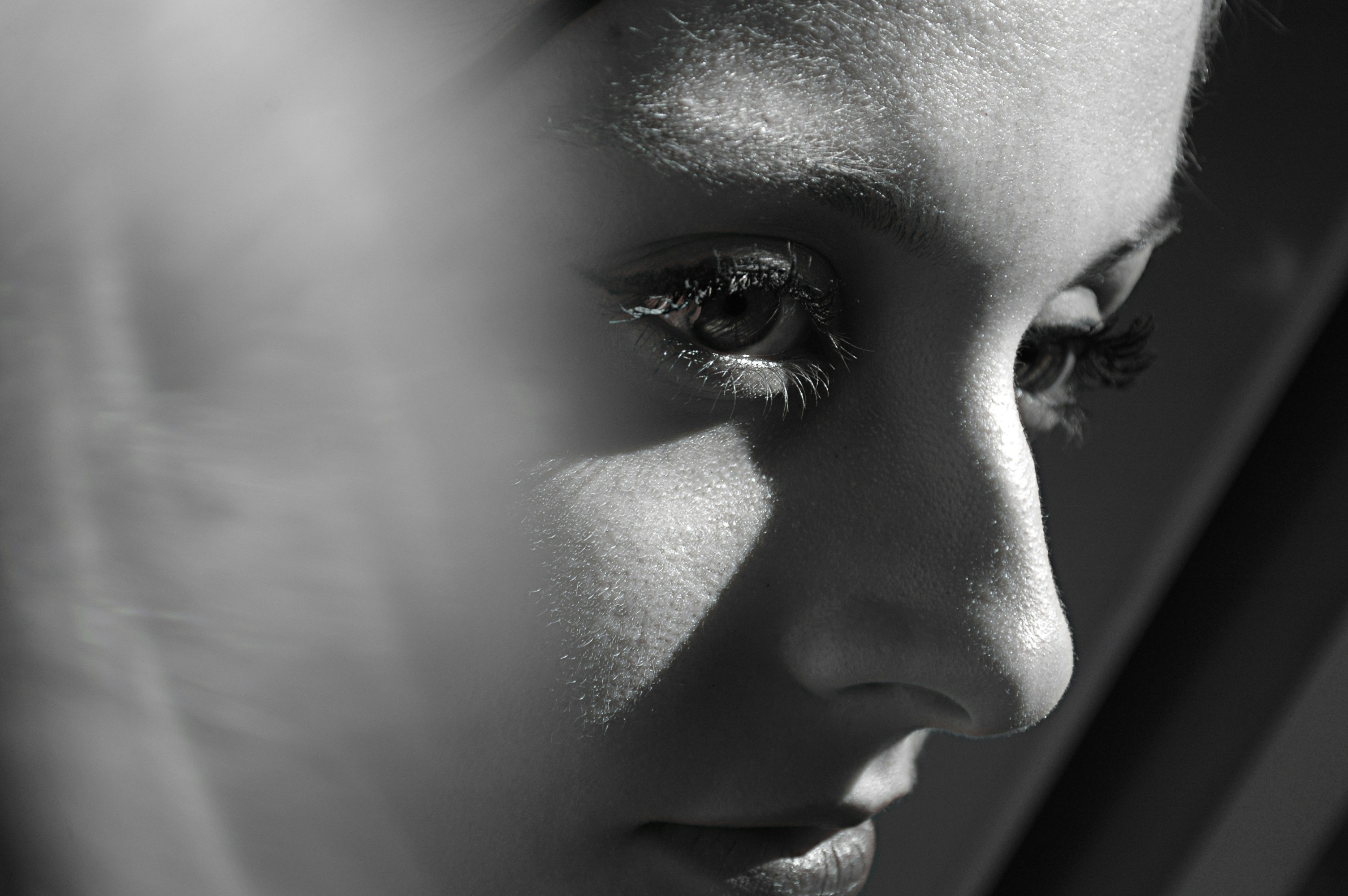 Photo by baranlotfollahi