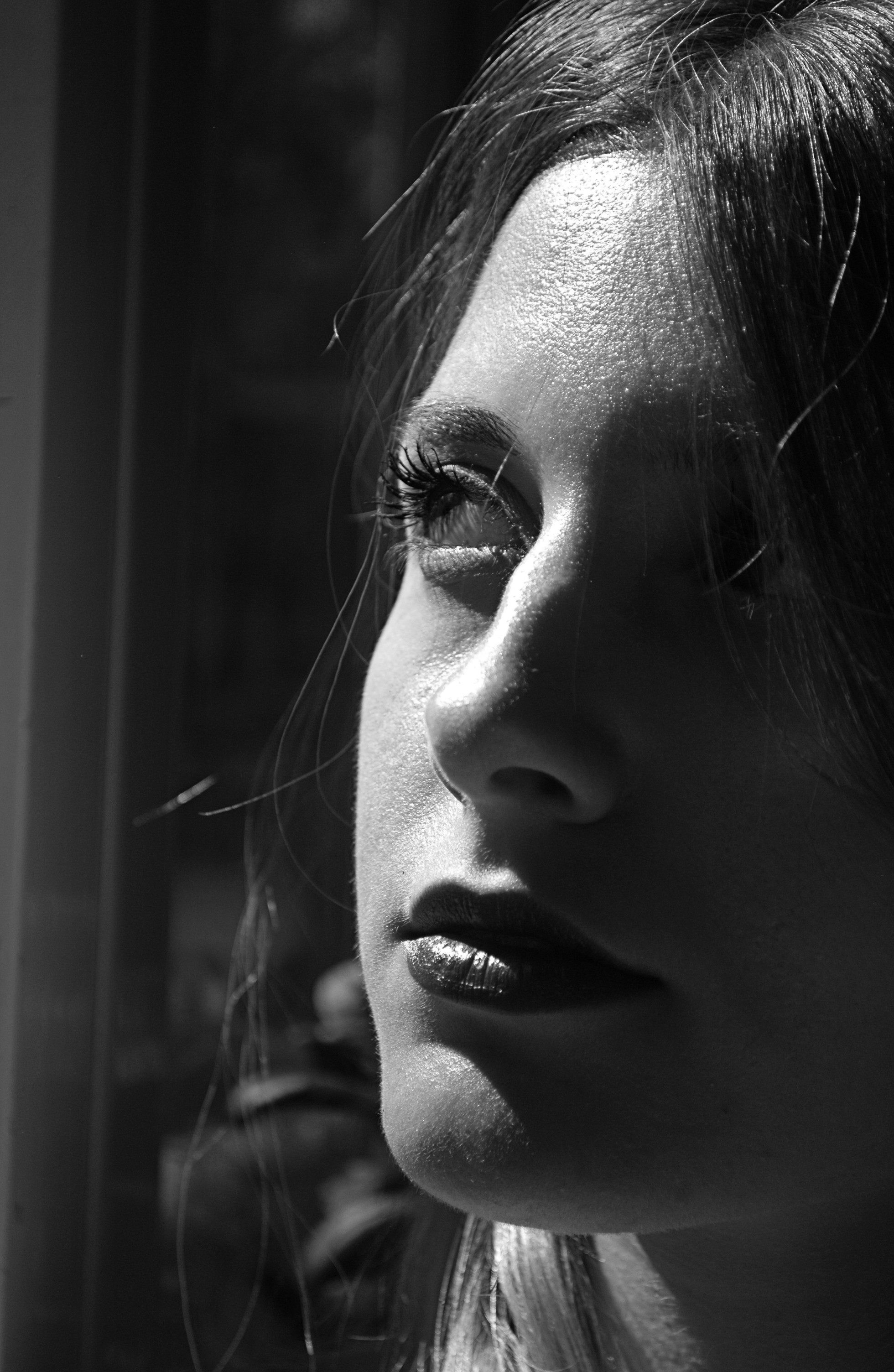 Photo by baranlotfollahi