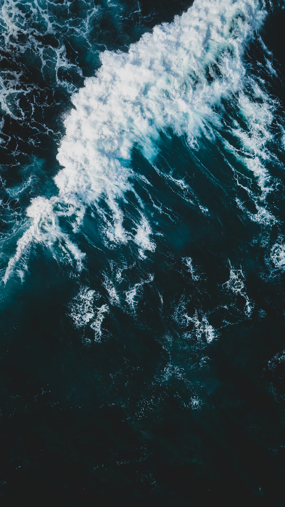 Costa atlántica y fortificación