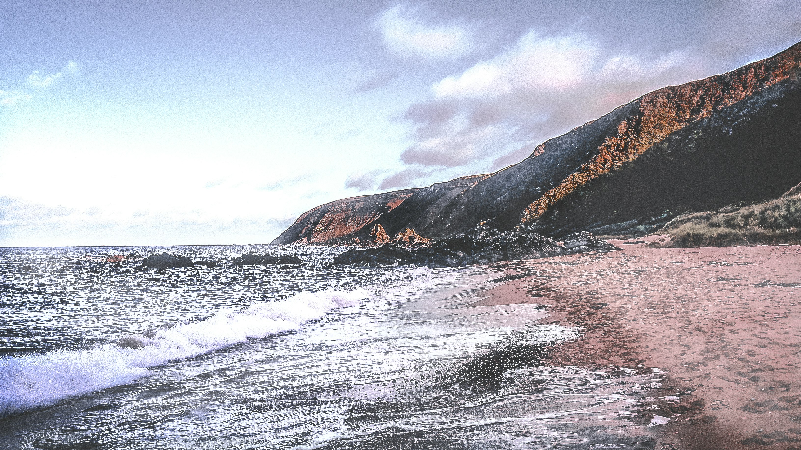 seashore during daytime