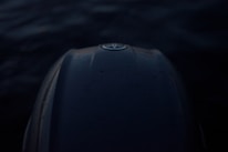 Close-up of a photo with Korback’s copyright watermark subtly visible in the corner.