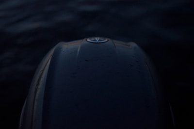 Close-up of a photo with Korback’s copyright watermark subtly visible in the corner.