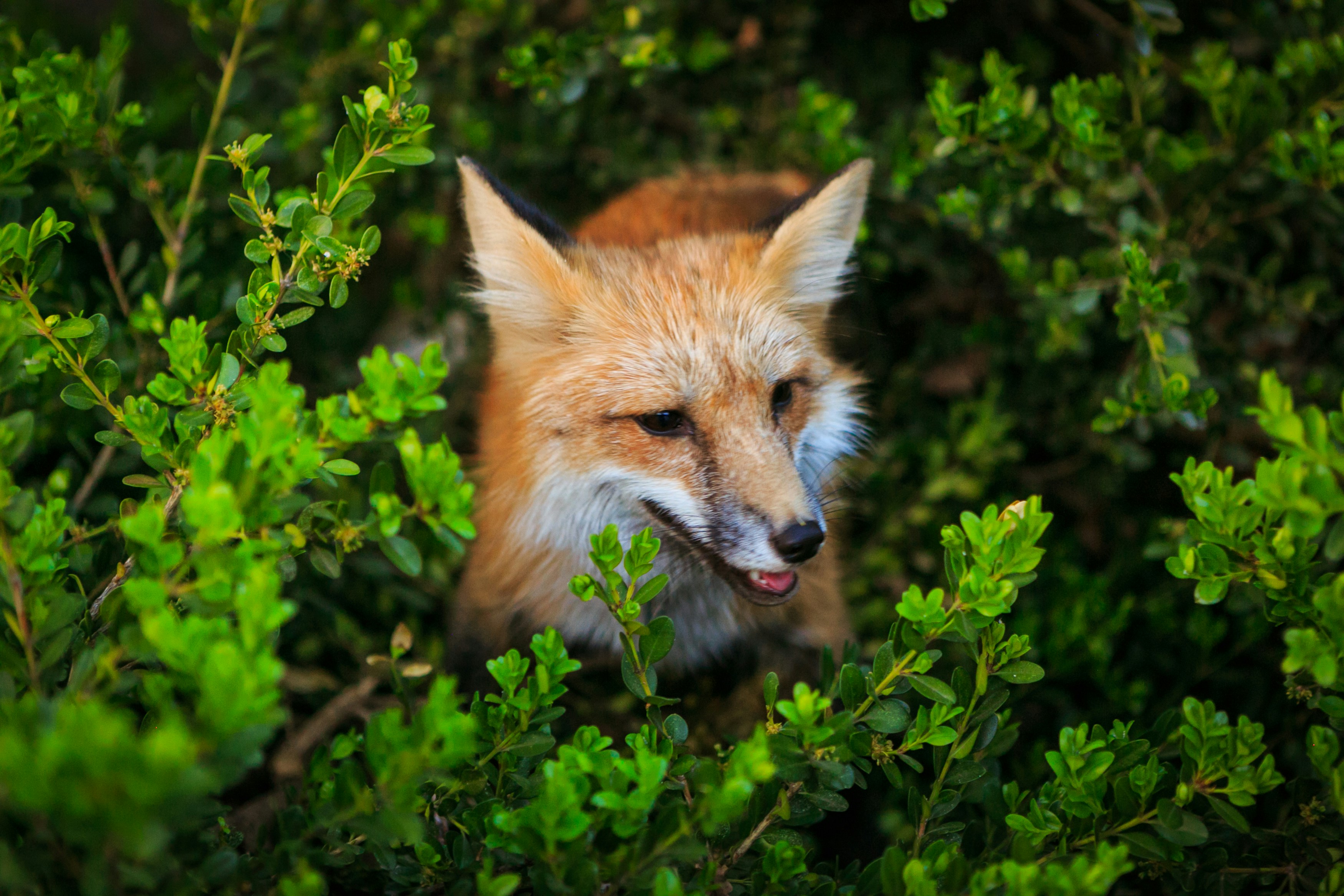 Photo by olga_kononenko