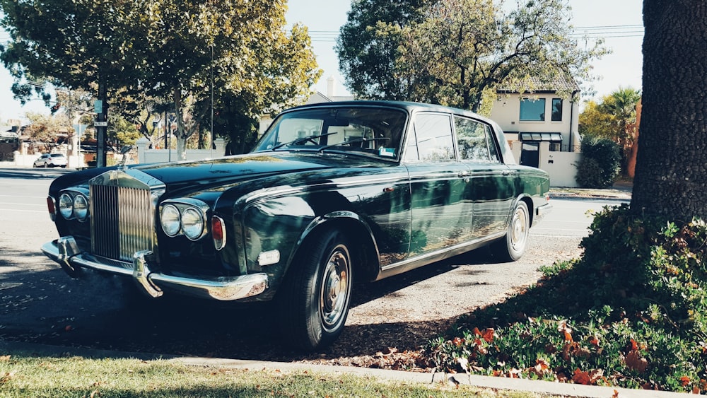 parked green sedan beside tree during daytime