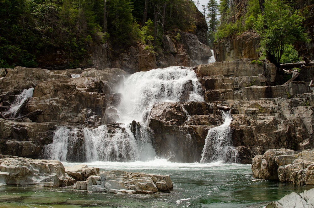 waterfall and trees