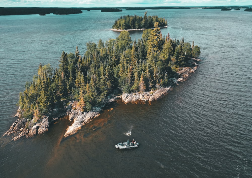 boat on water near green-leafed trees