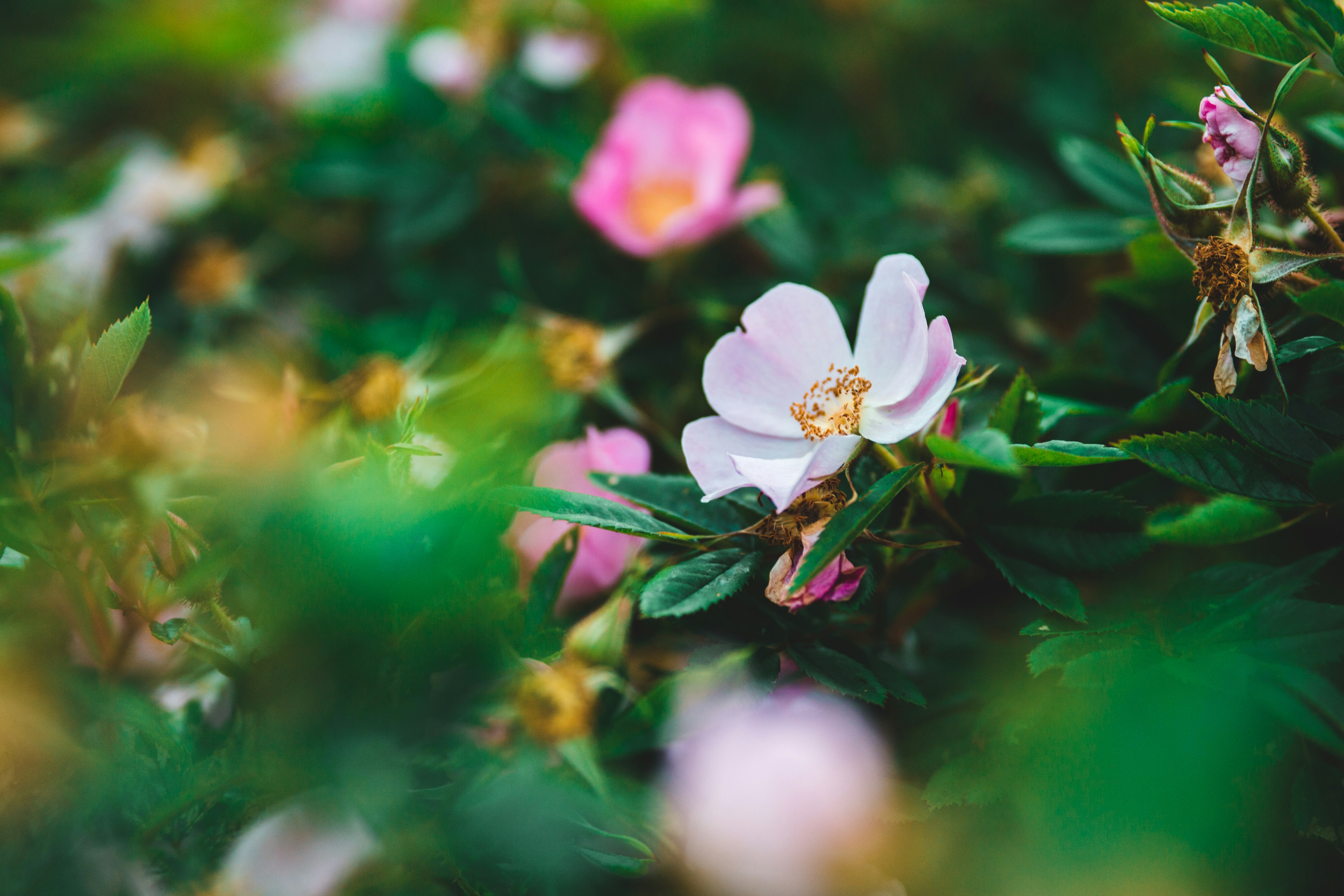 Photo by introspectivedsgn