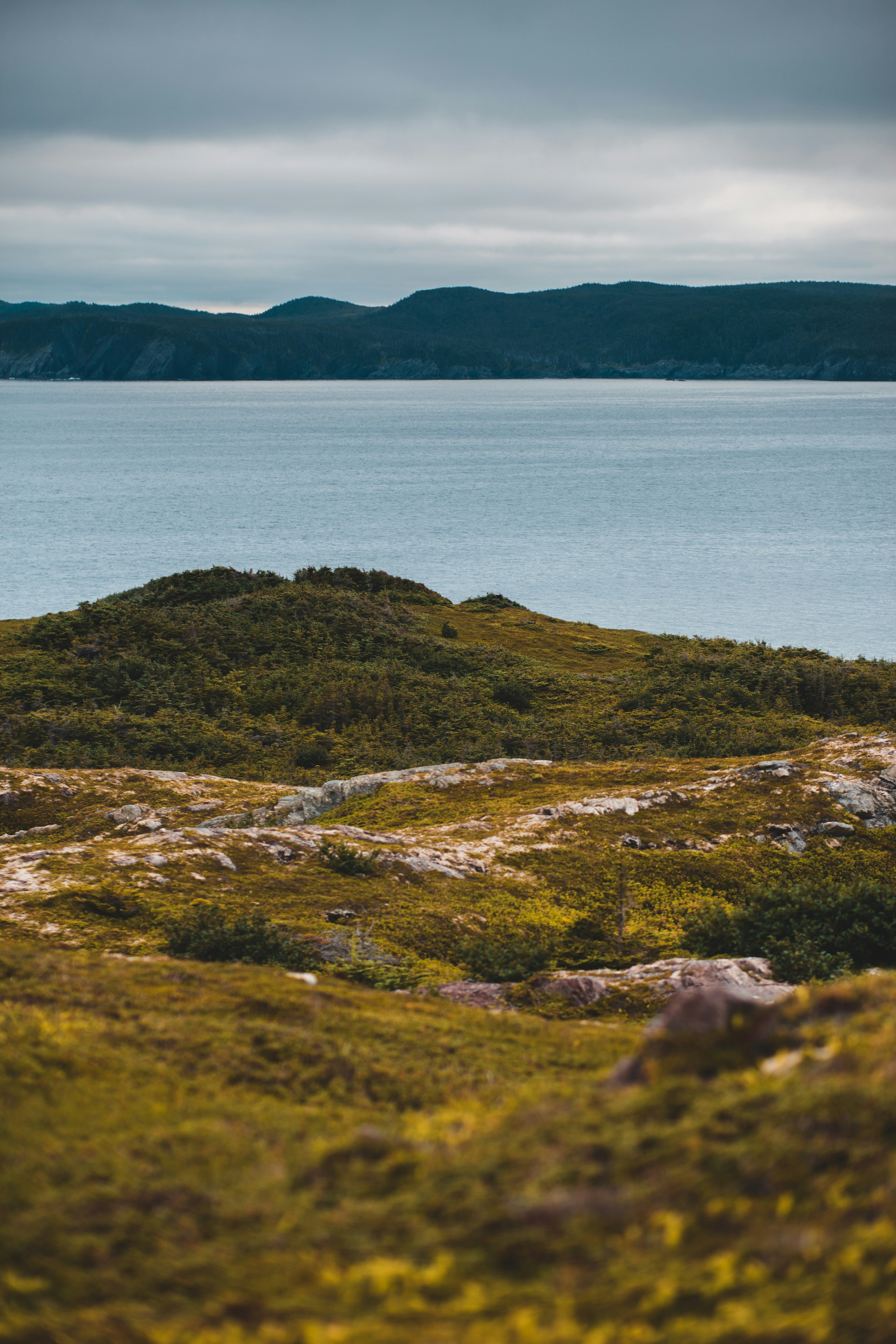 Photo by introspectivedsgn