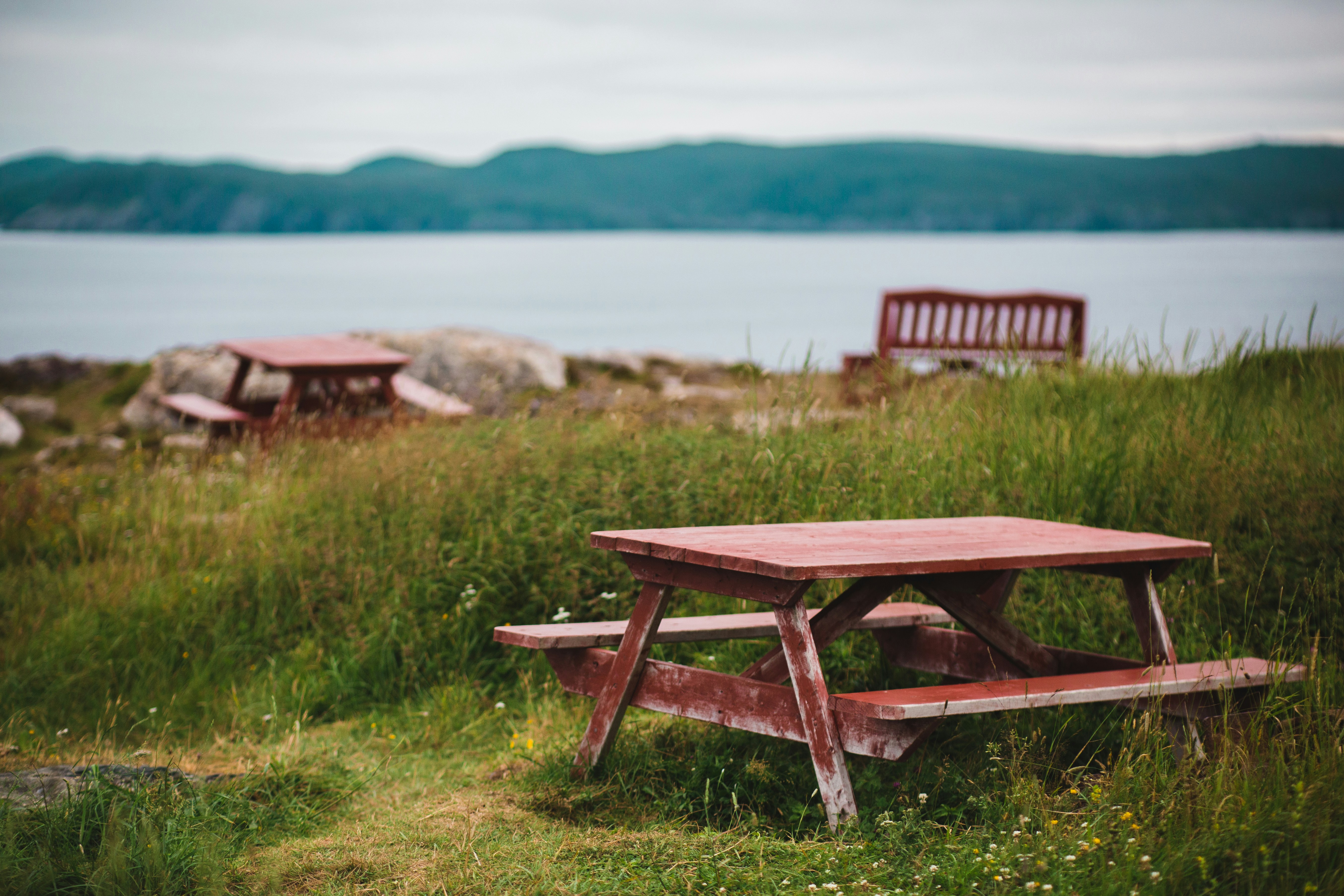 Brown Picnic Table On Green Grass Photo Free Furniture Image On