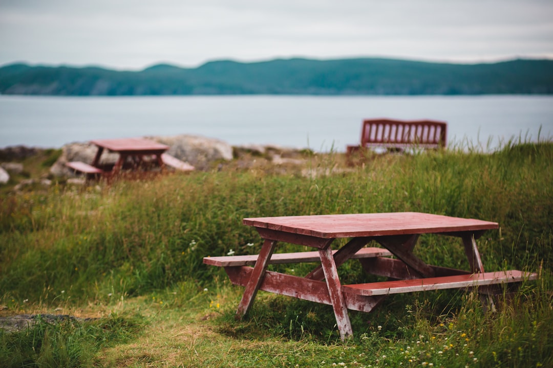 brown picnic table on green grass