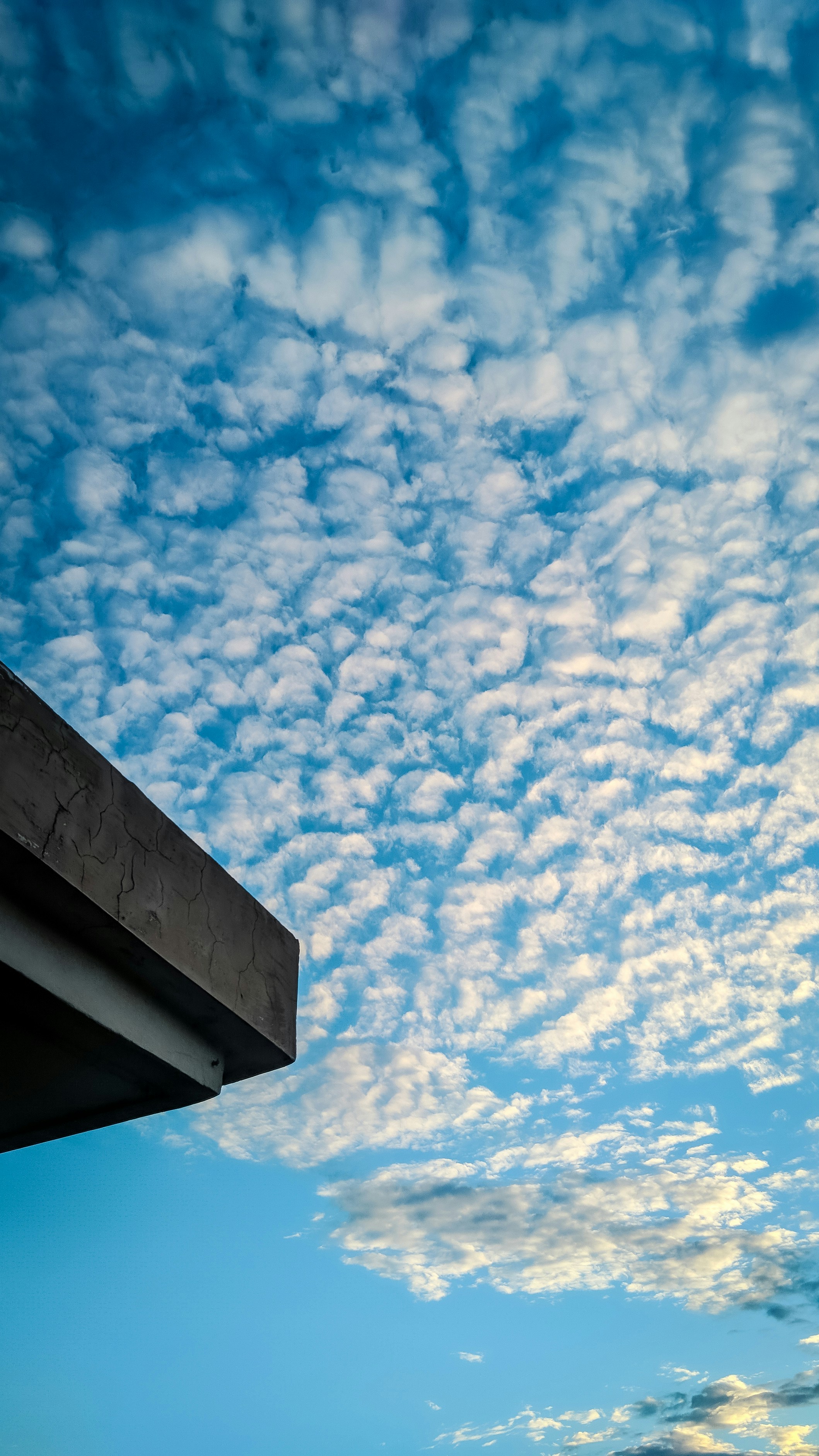 Photo by kawalgraphics