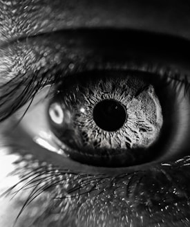 grayscale photography of person's eye