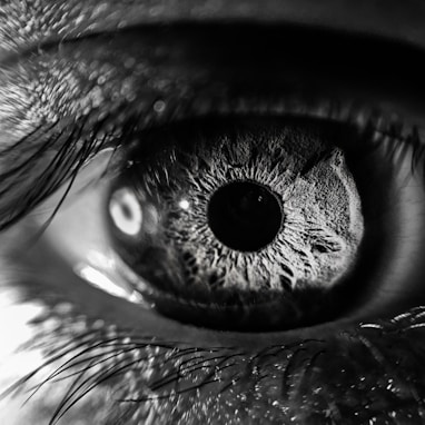 grayscale photography of person's eye