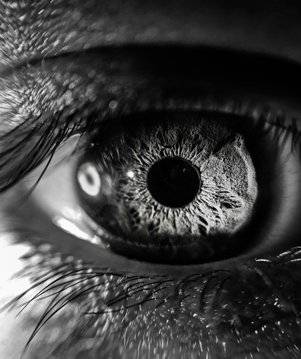 Fotografía en escala de grises del ojo de la persona