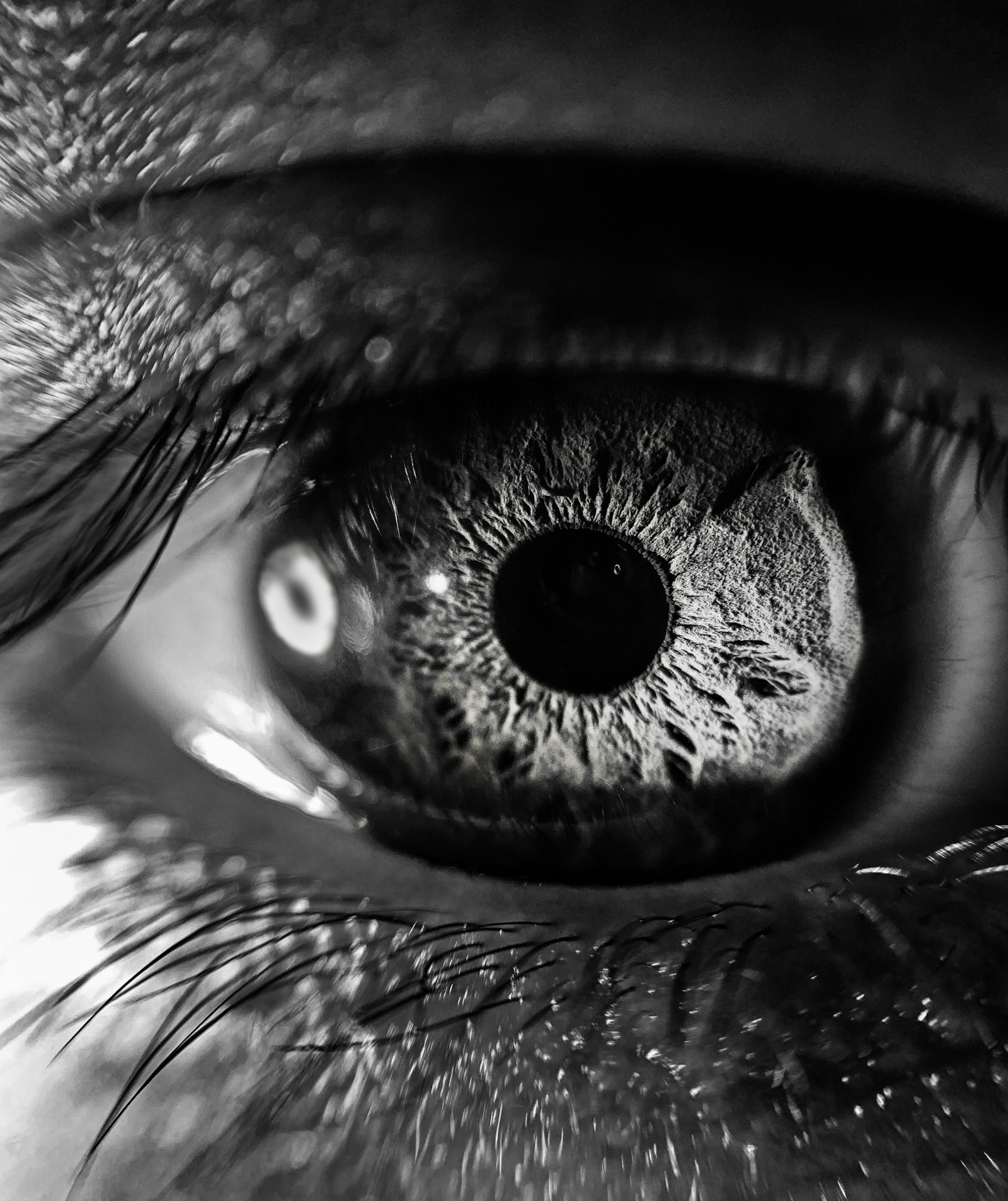 Gros plan en noir et blanc d'un œil humain dans la pénombre