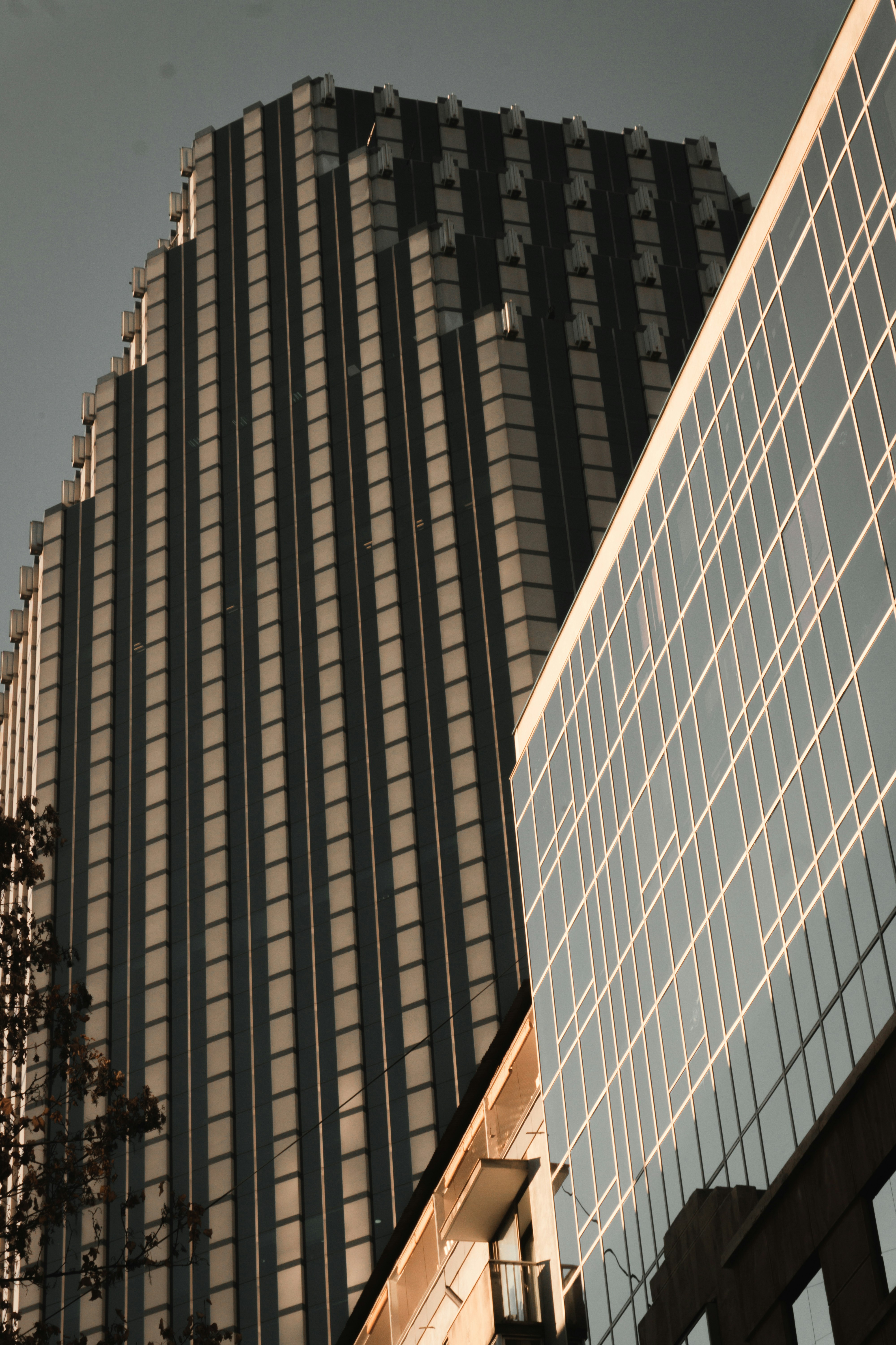 Photo by castillcc