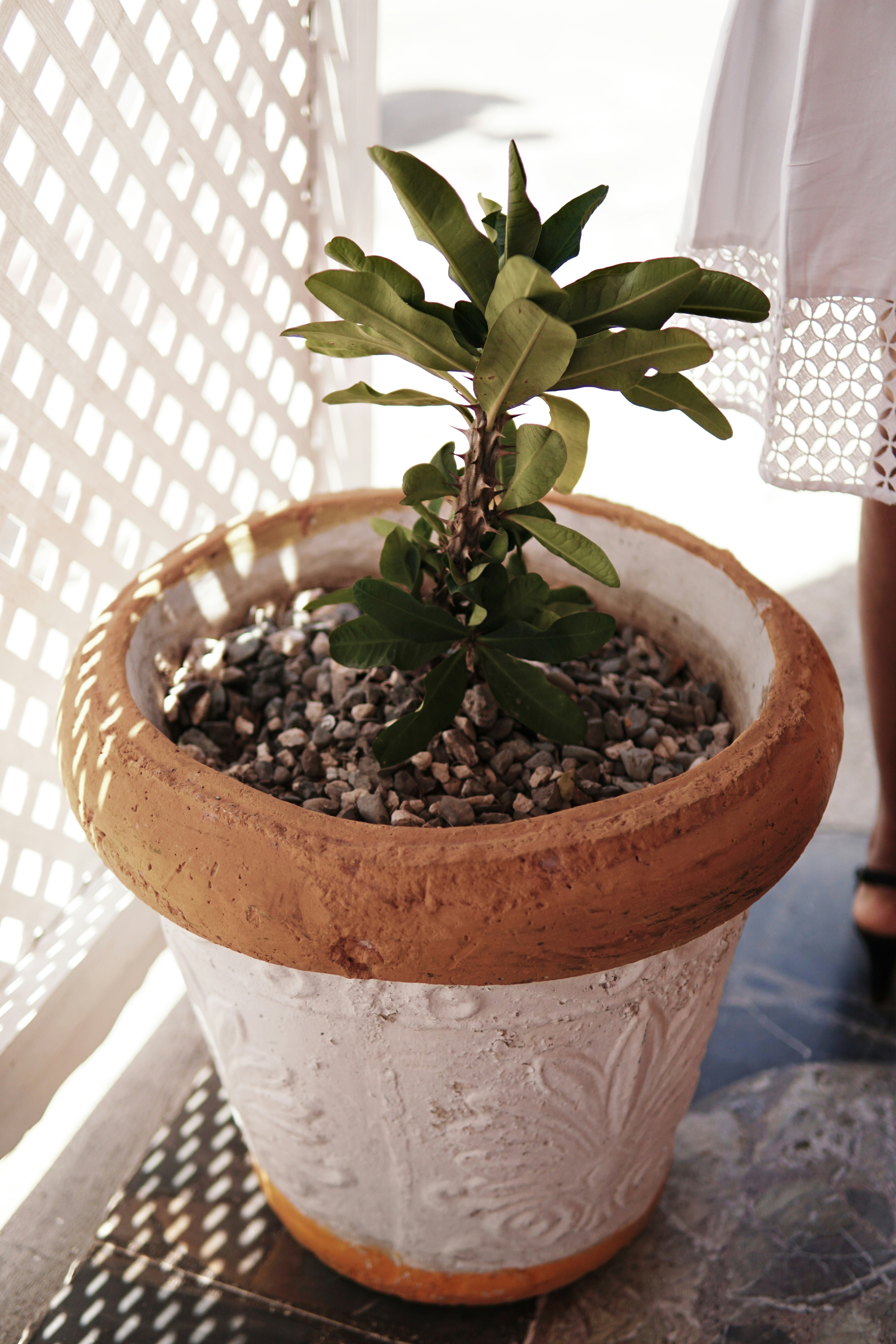 Photo by camzycreative