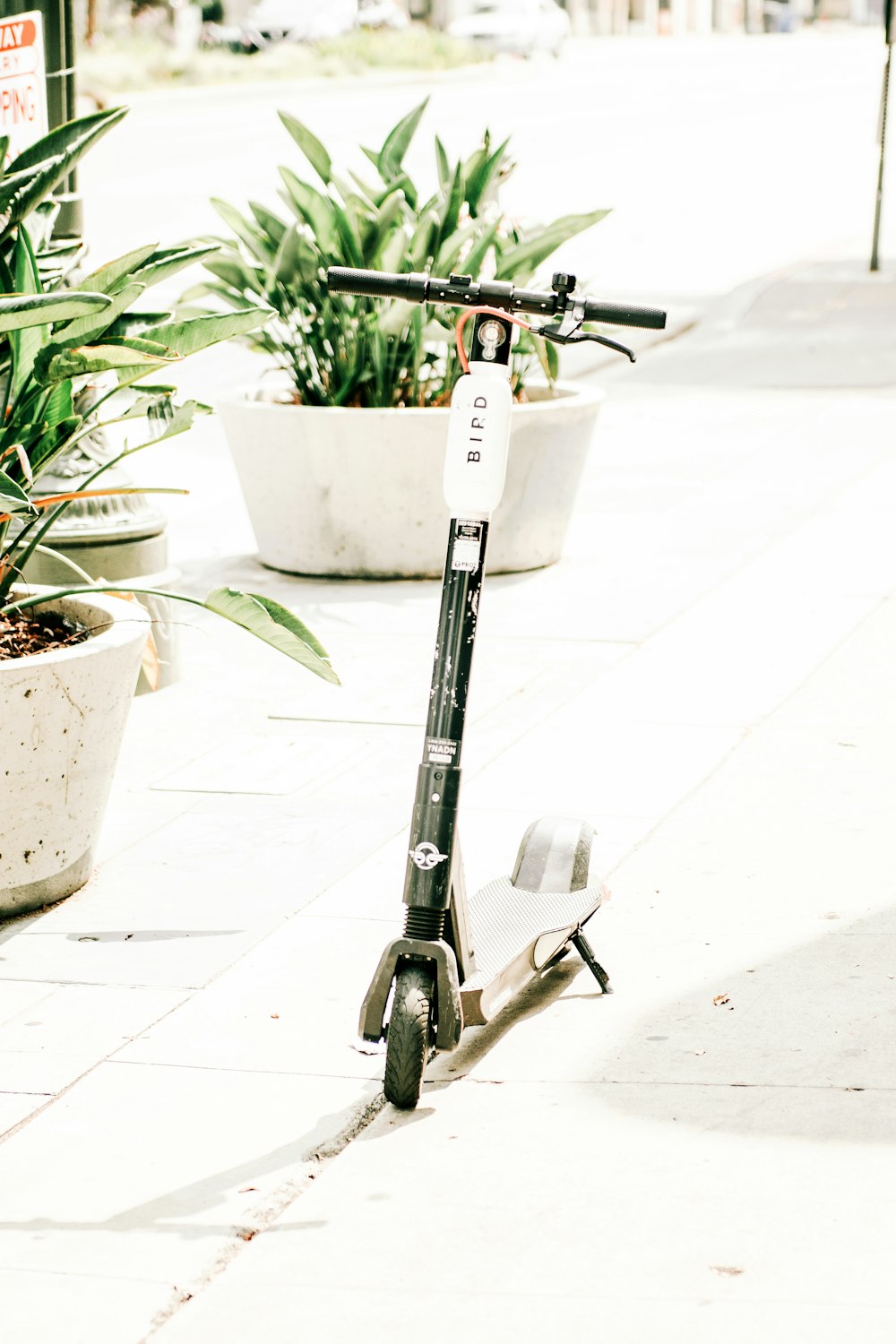 white and black kick scooter parked besides white plant pot