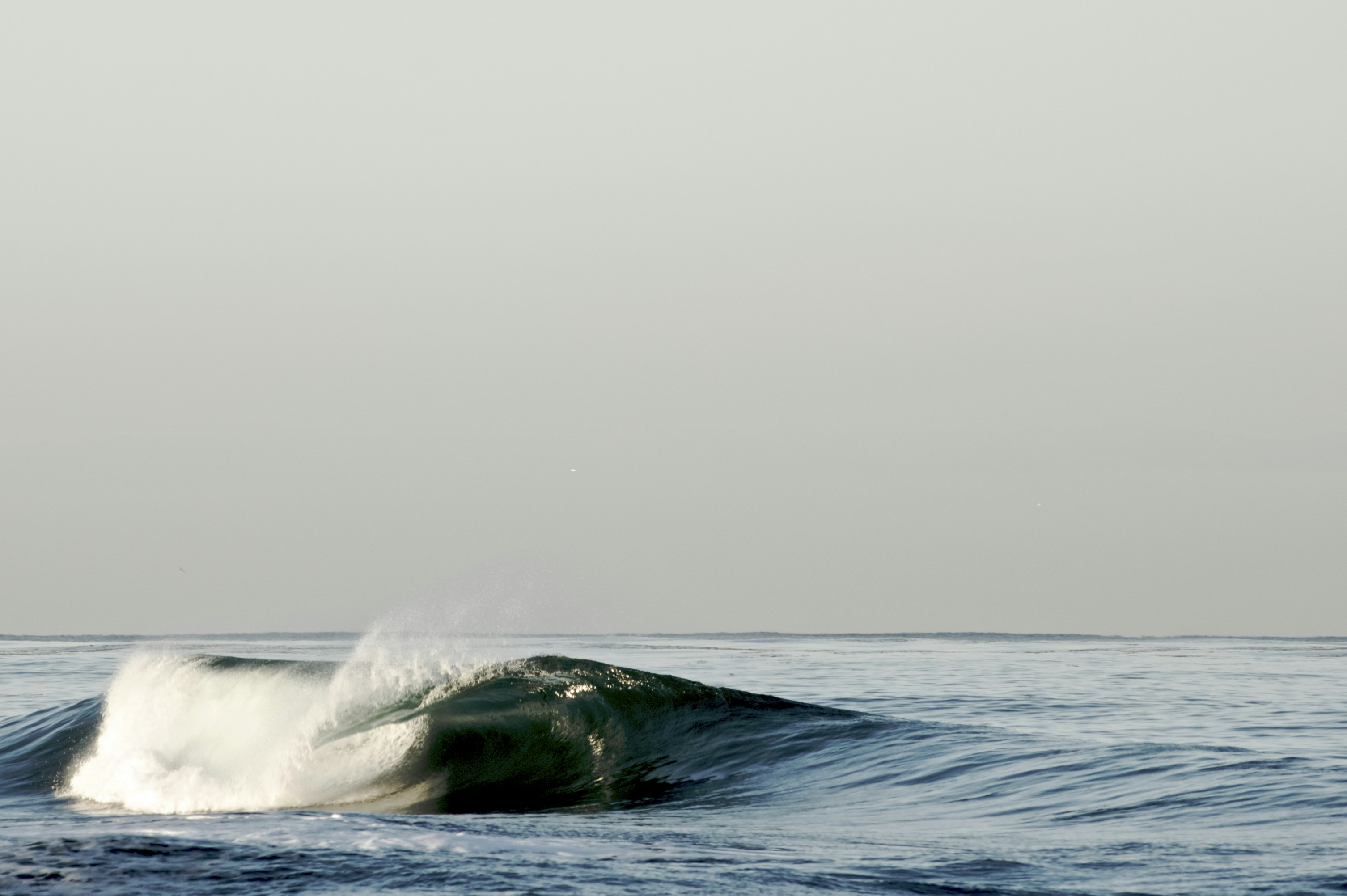 Photo by variantmedia