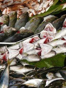 A display of various kinds of fish, some with their heads and gills exposed, laid out on green leaves. The assortment includes several types of whole fish, suggesting a fresh market or seafood vendor setting.