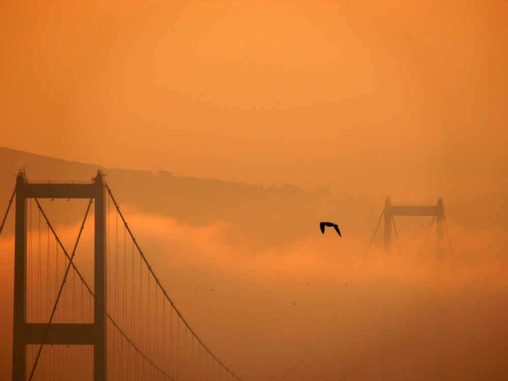 Golden Gate Bridge covered with fogs