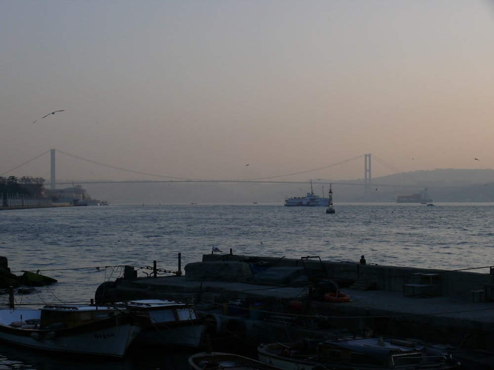 boats in port