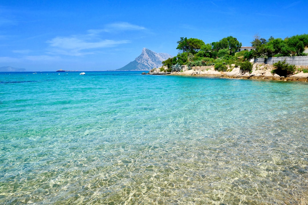 body of water near trees, Isola di Tavolara