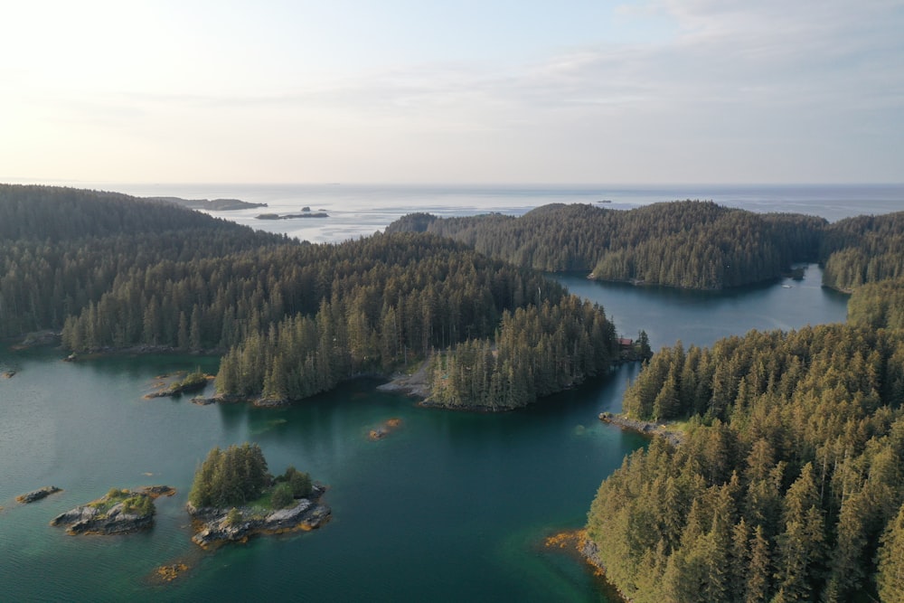 aerial view photo of islands