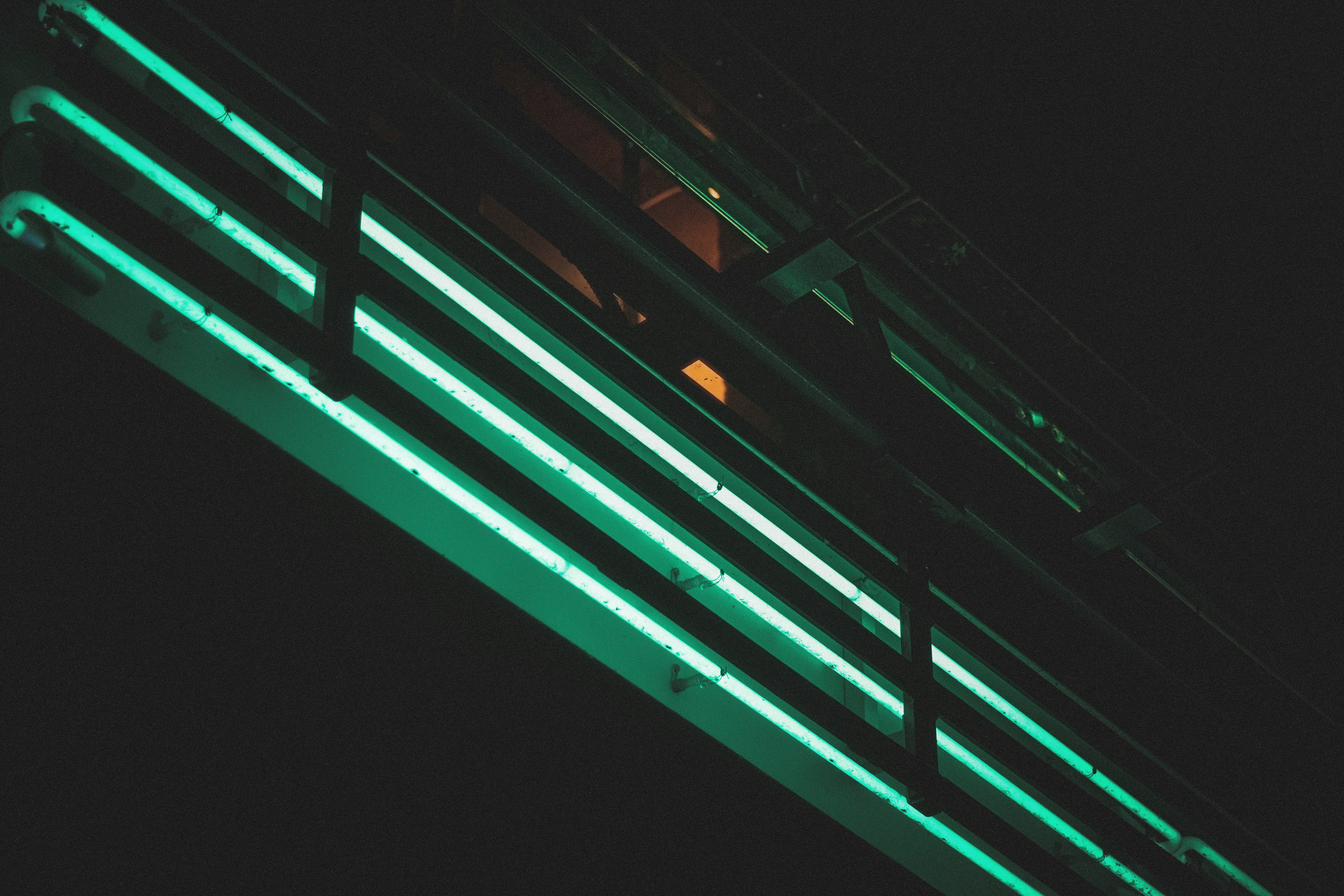 photo-1565246344842-7d773902f386?ixid=M3wxMjA3fDB8MXxzZWFyY2h8MTR8fG5lb250cmFpbHMuY29tfGVufDB8fHx8MTc2MzUzMzM5OHww\u0026ixlib=rb-4.1.0