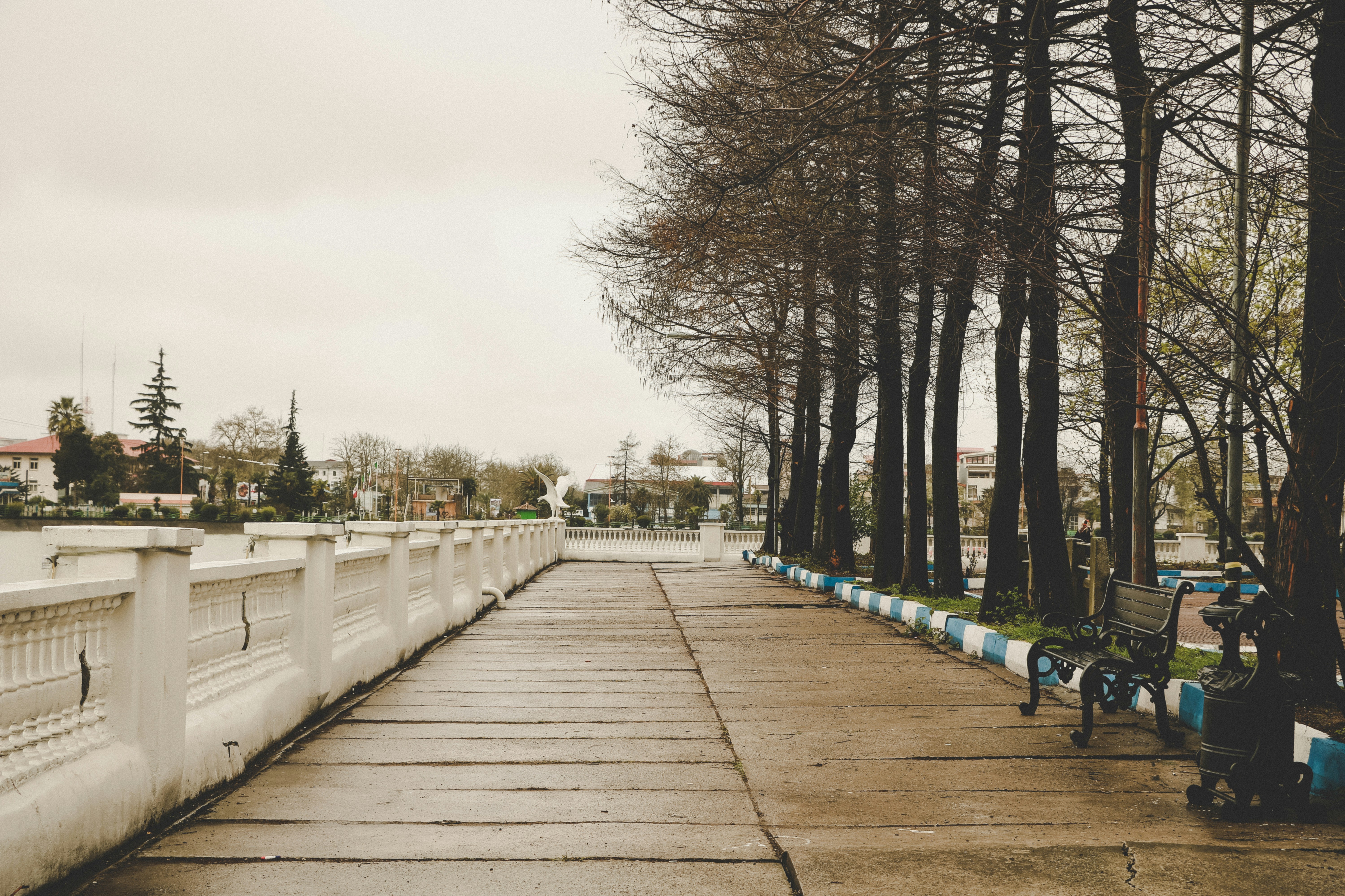 Photo by rominahmadpour