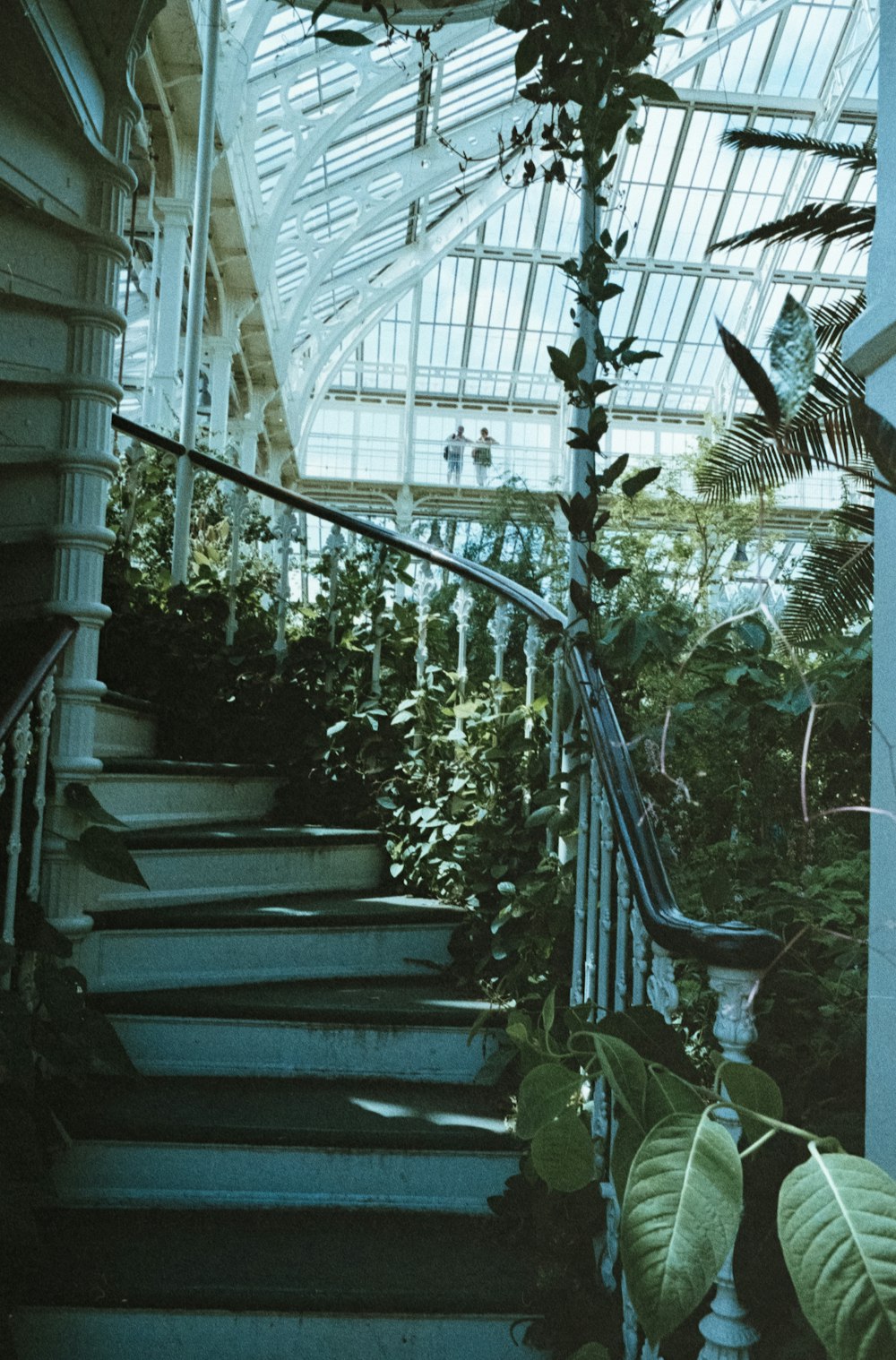 plants near spiral stairs