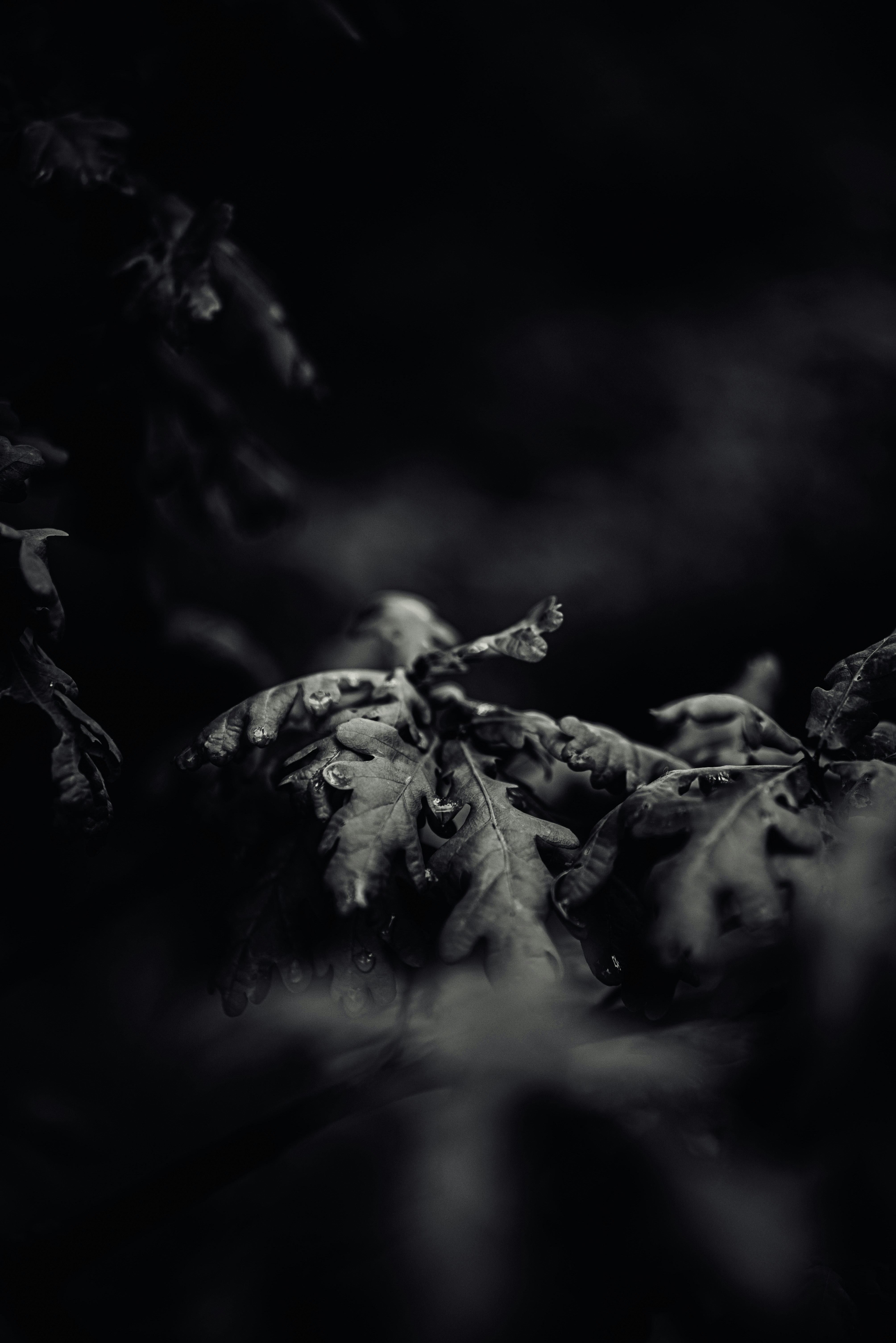 Photo by sanderweeteling