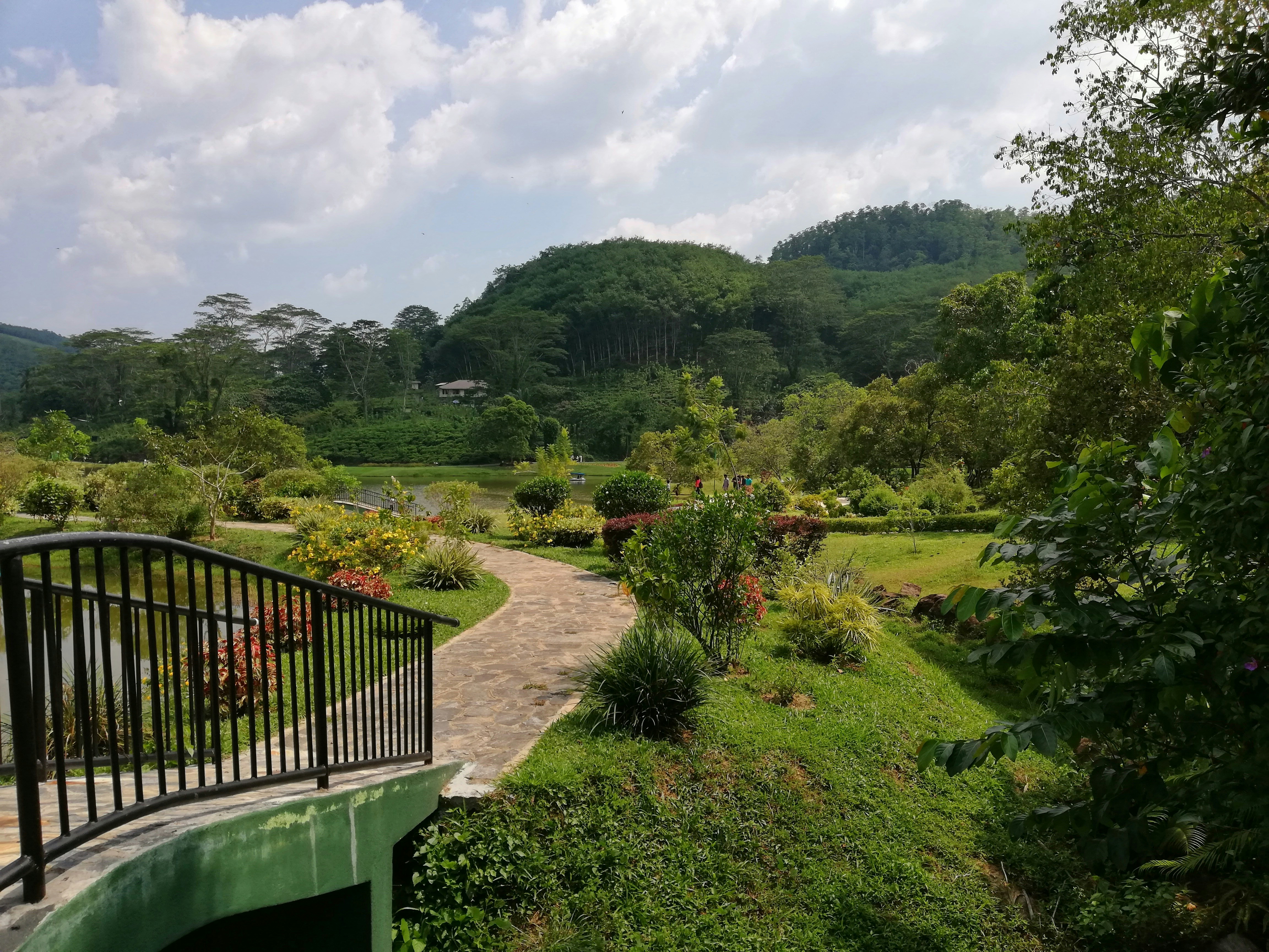 Natural stone garden pathway winding through a lush green garden with flowering borders